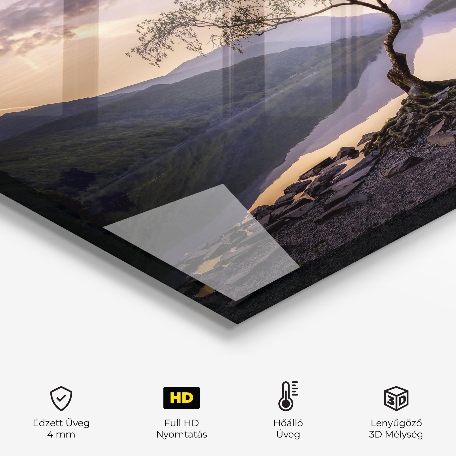 Konyhai üveg hátfal Lone Tree mockup 2