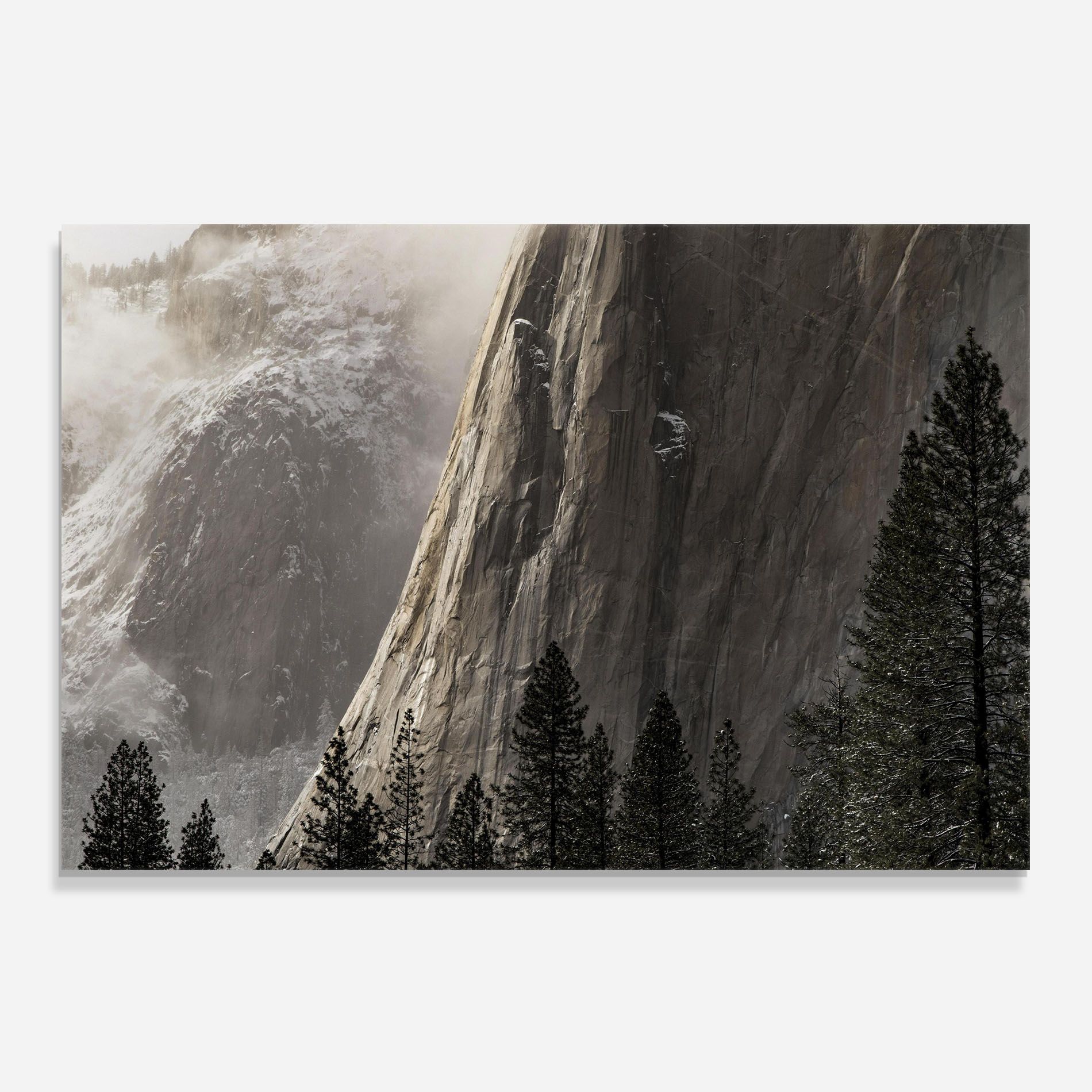 Green Tree Mountain mockup 0