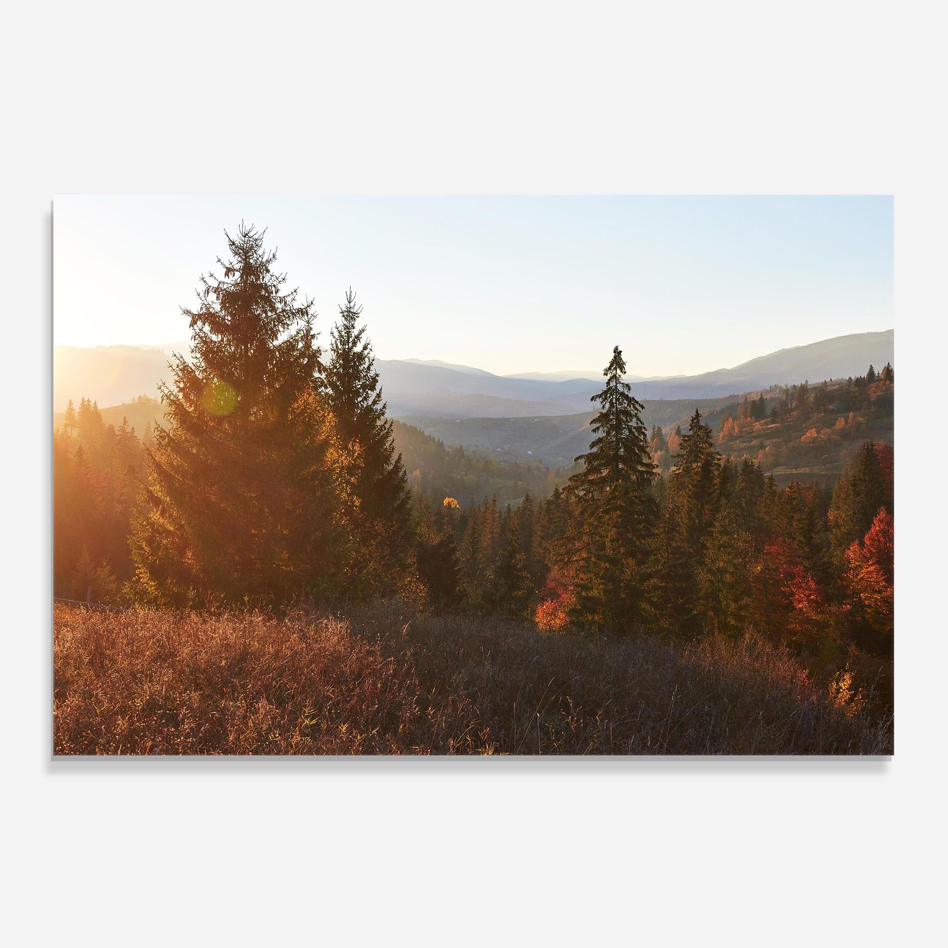 Autumn Morning mockup 0