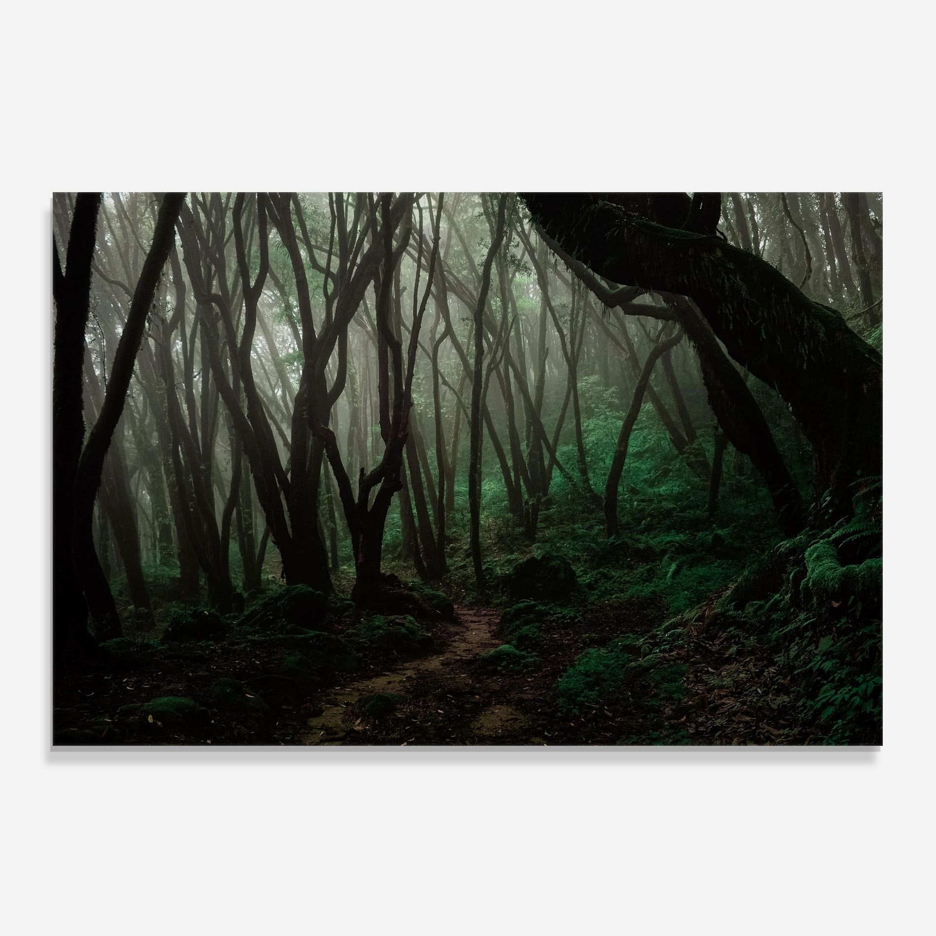 Forest Story mockup 0