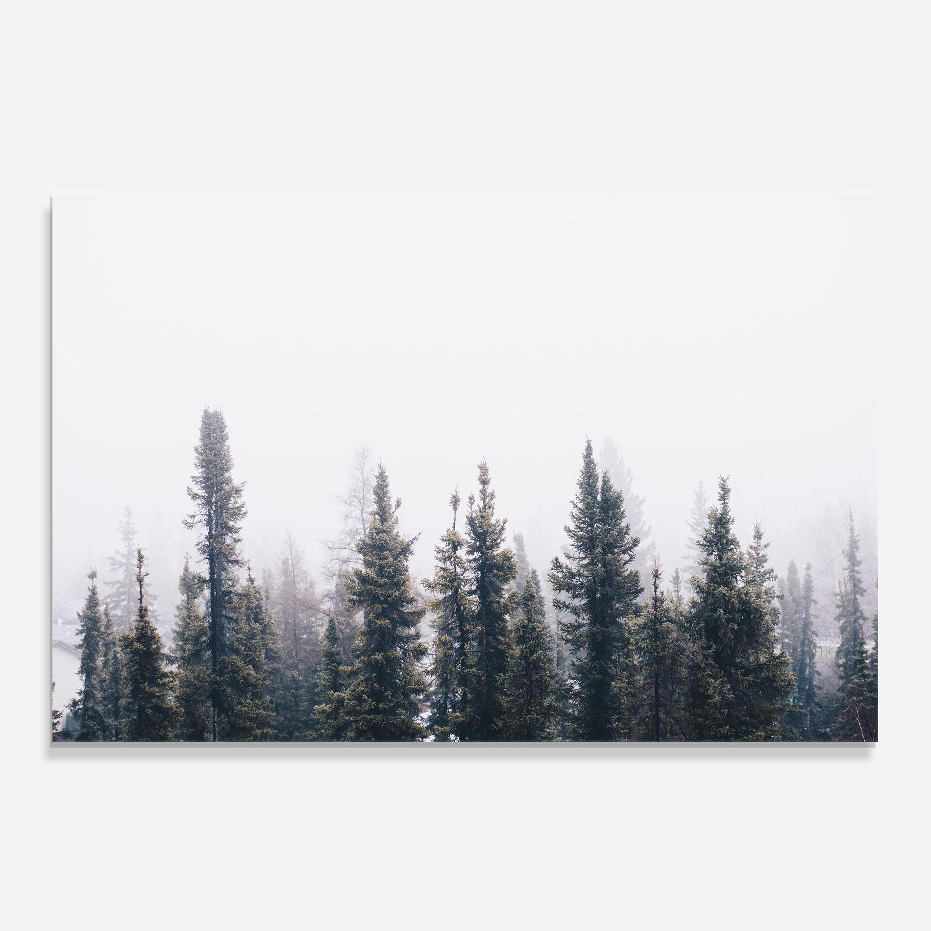 Konyhai üveg hátfal Grey Foggy Trees mockup 0