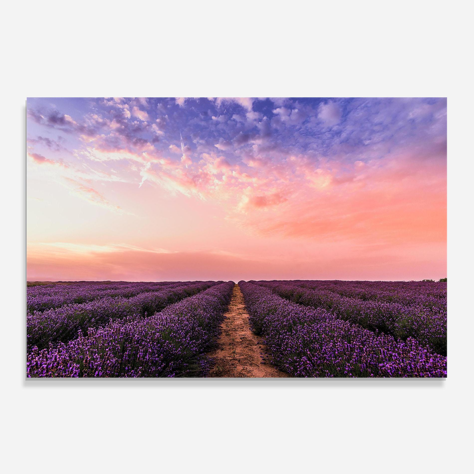 Konyhai üveg hátfal Lavender Field mockup 0
