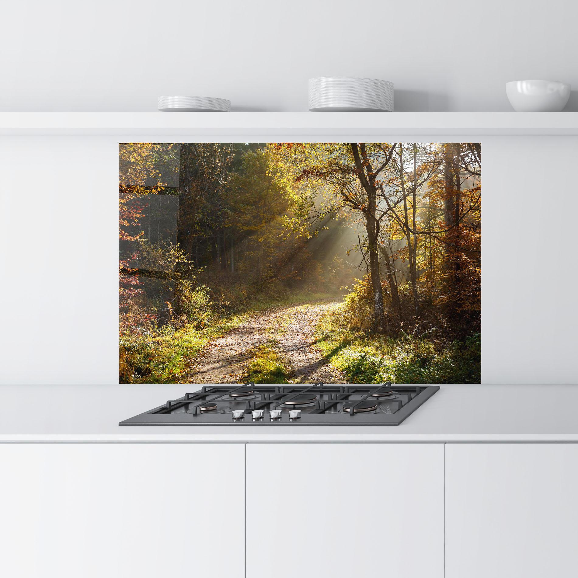 Konyhai üveg hátfal Autumn Trees Sun mockup 9