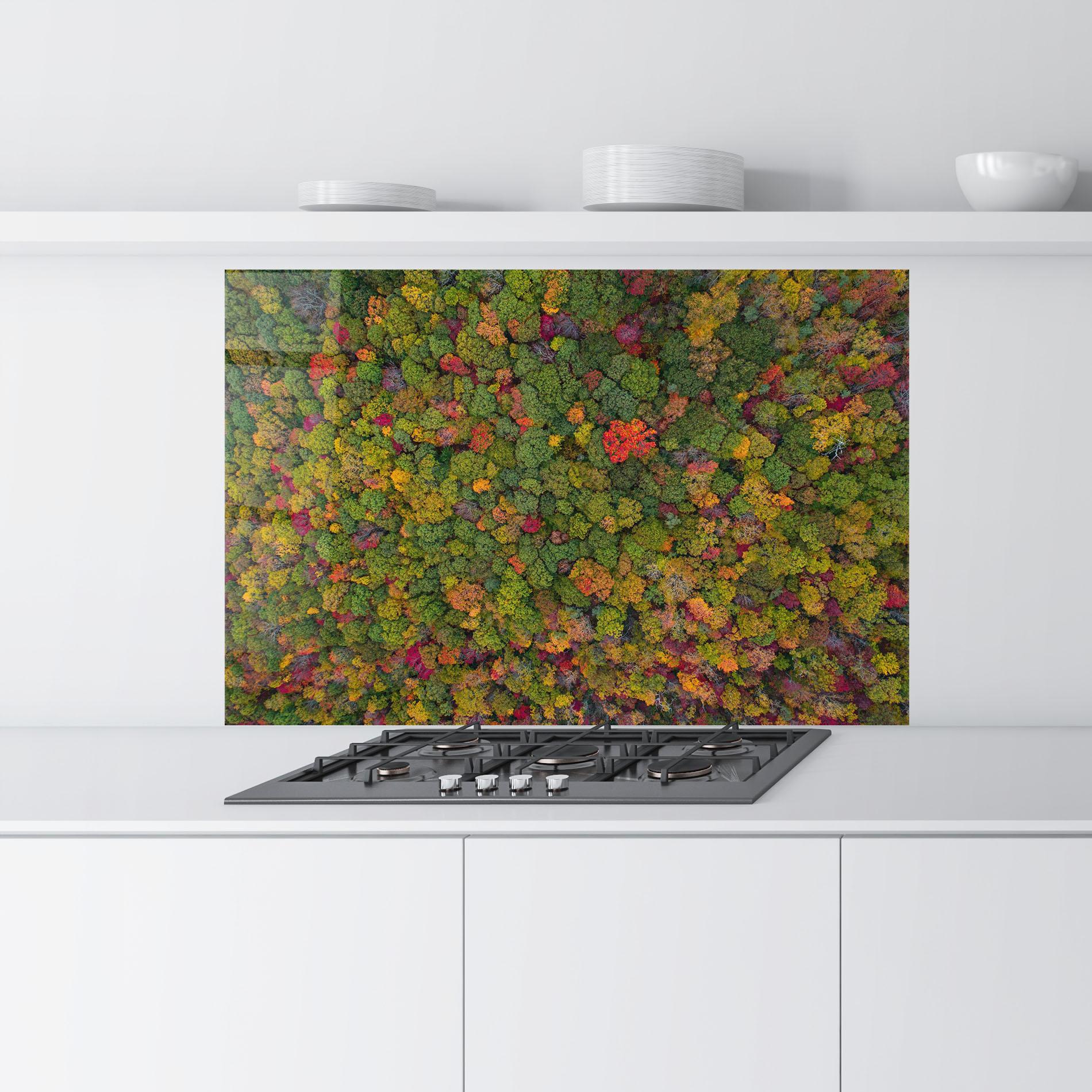Konyhai üveg hátfal Color Mix Forest mockup 9