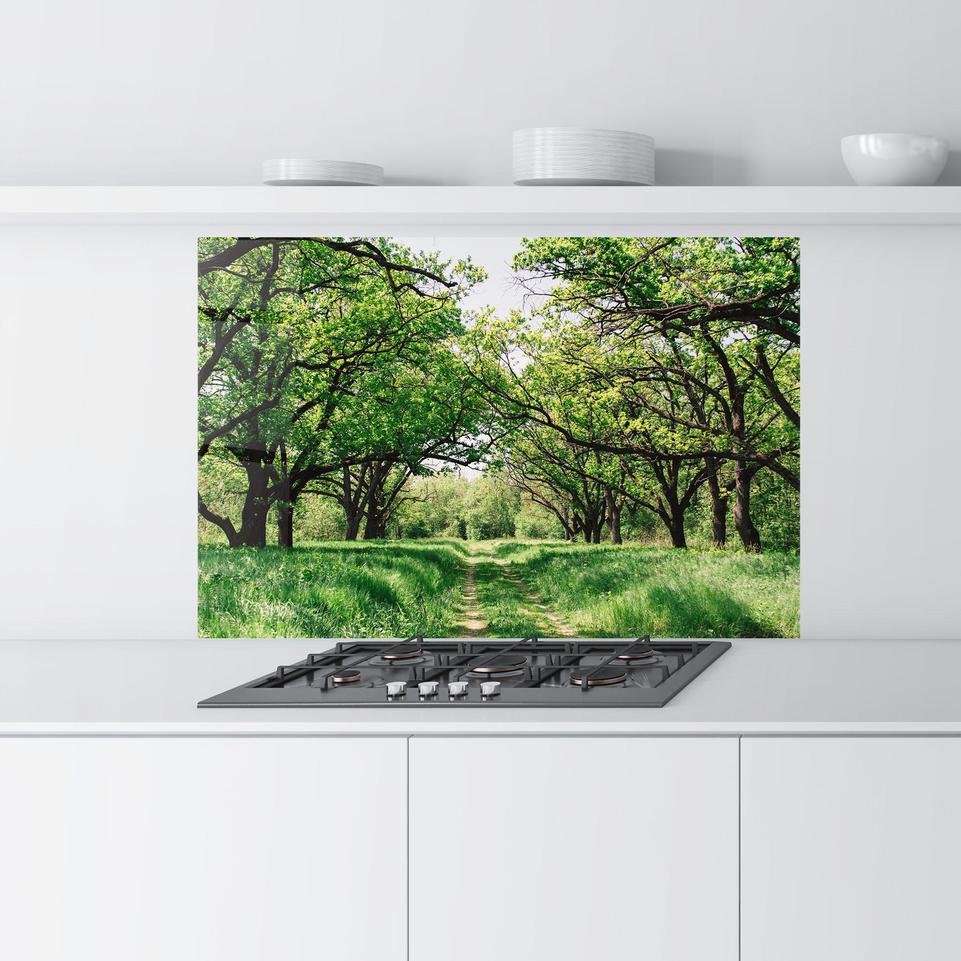 Konyhai üveg hátfal Forest Green Path mockup 9