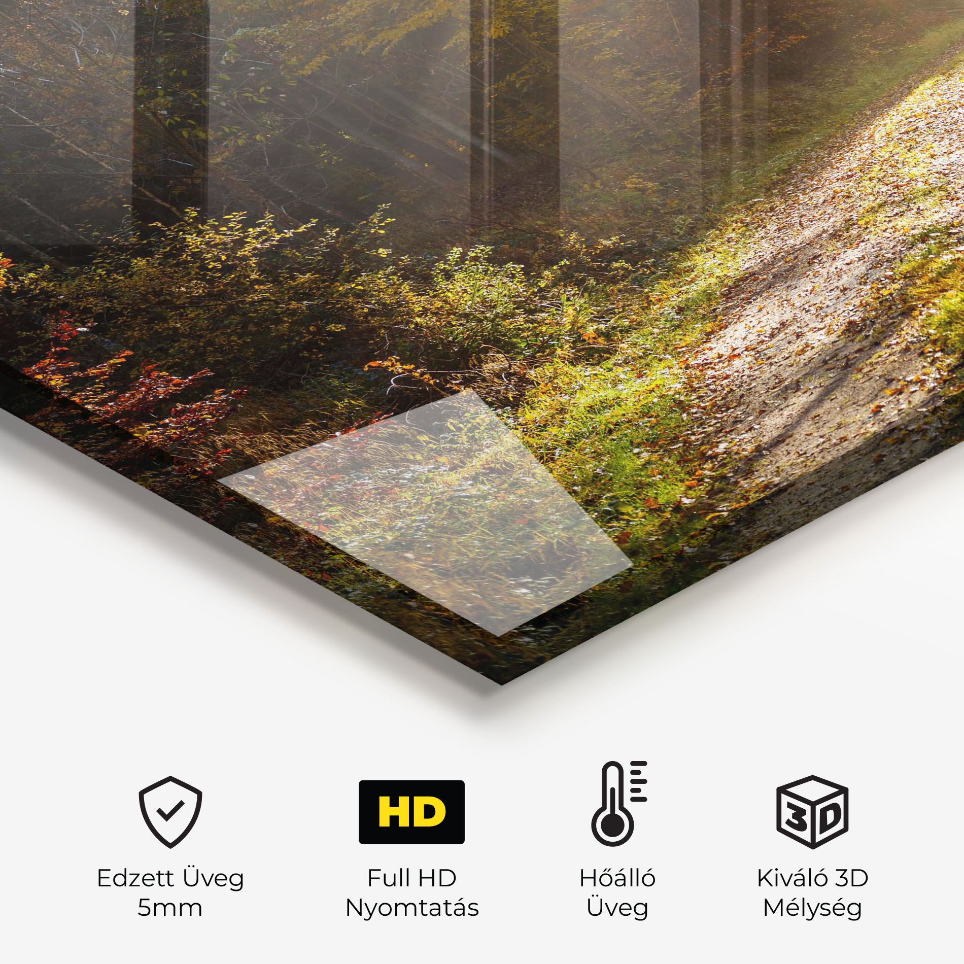 Autumn Trees Sun mockup 2