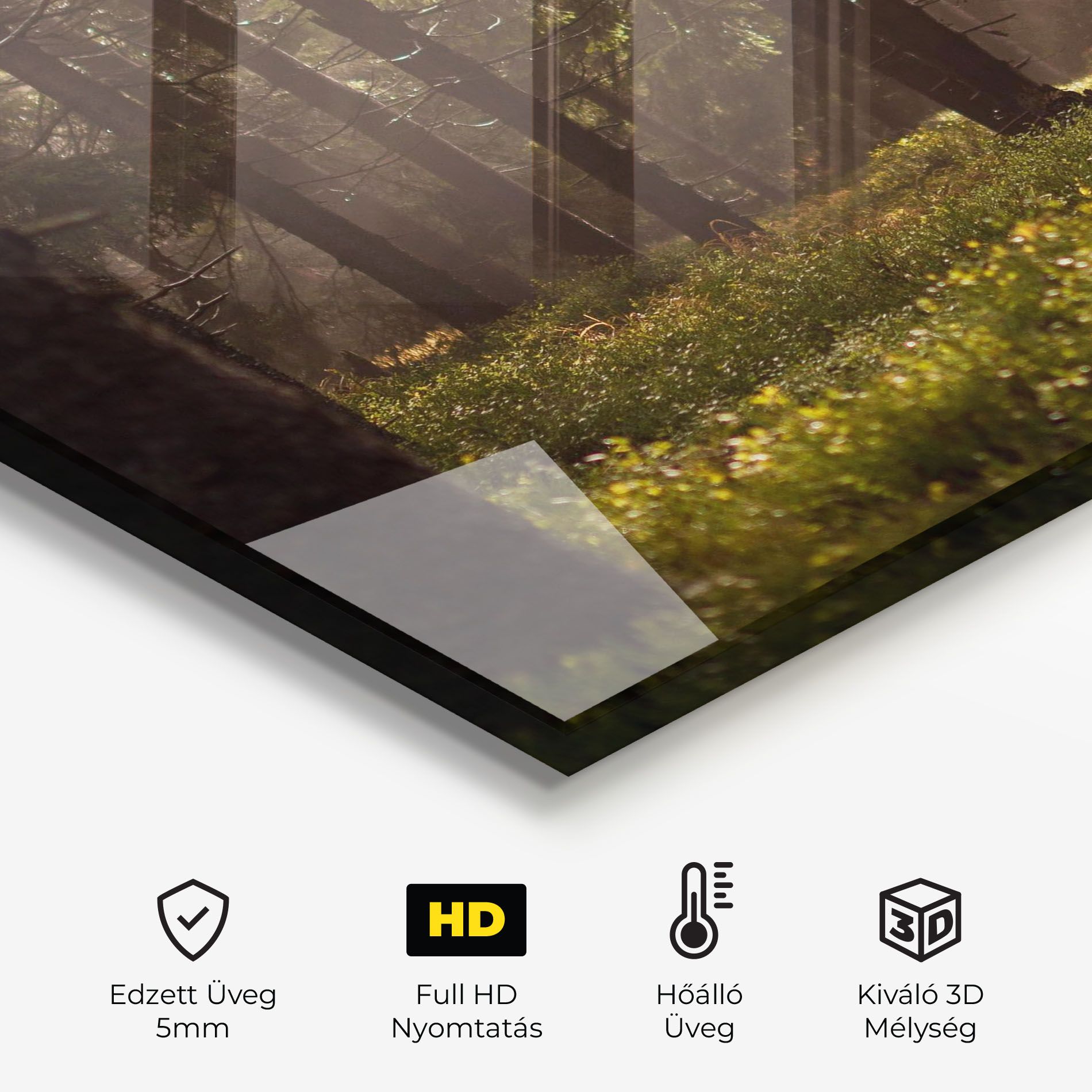 Daylight Forest mockup 2