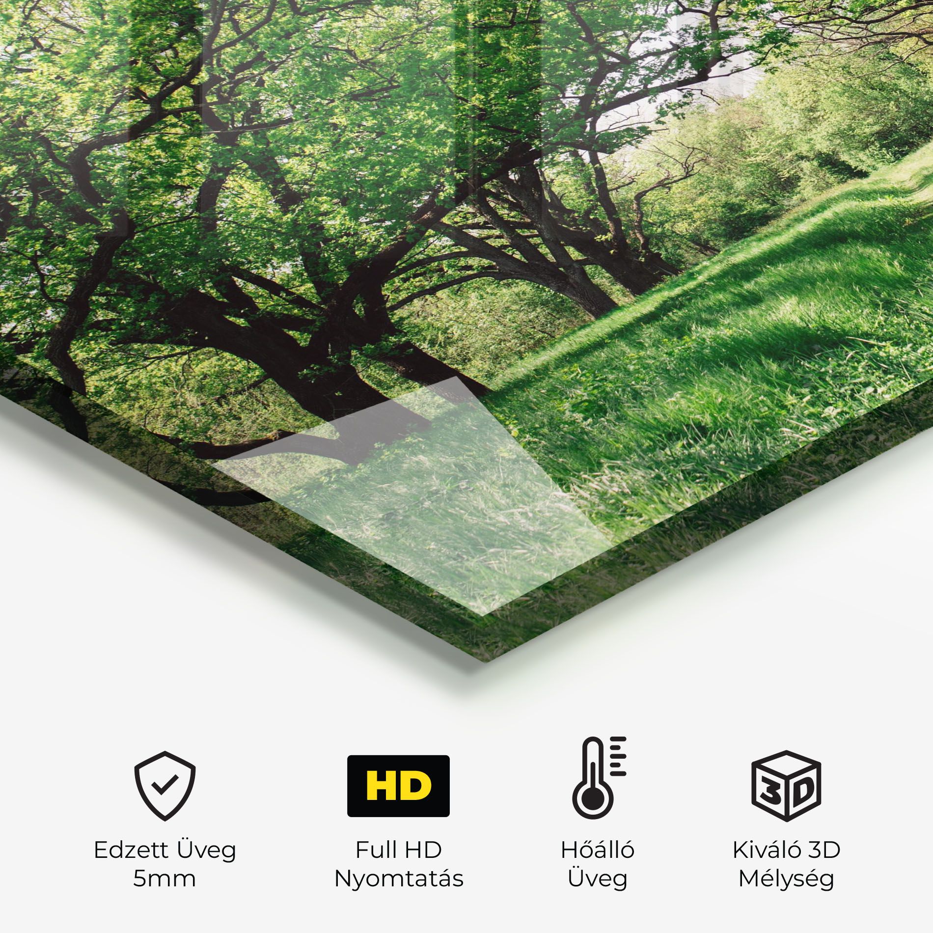 Forest Green Path mockup 2