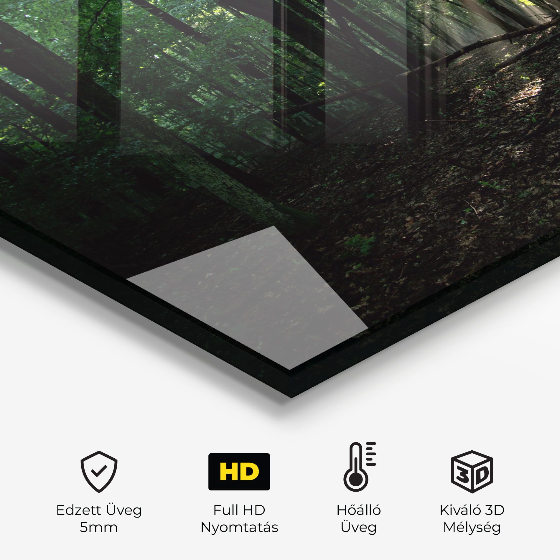 Forest Sun Light mockup 2