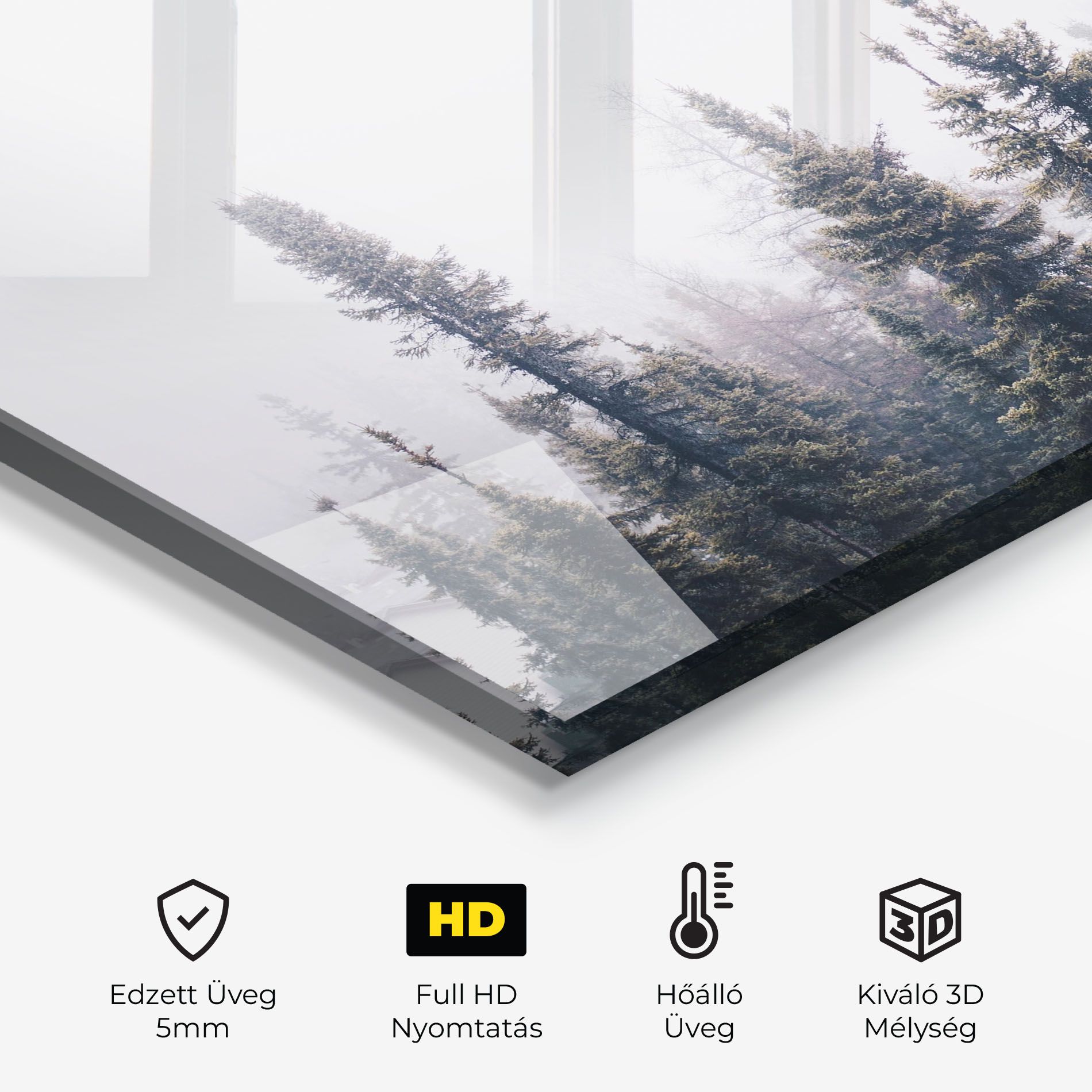 Grey Foggy Trees mockup 2