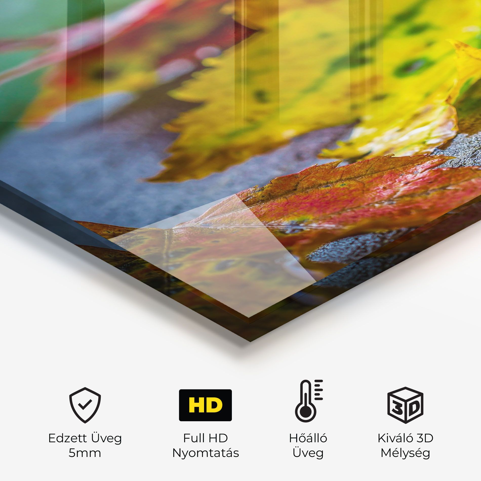 Leaf Color Forest mockup 2