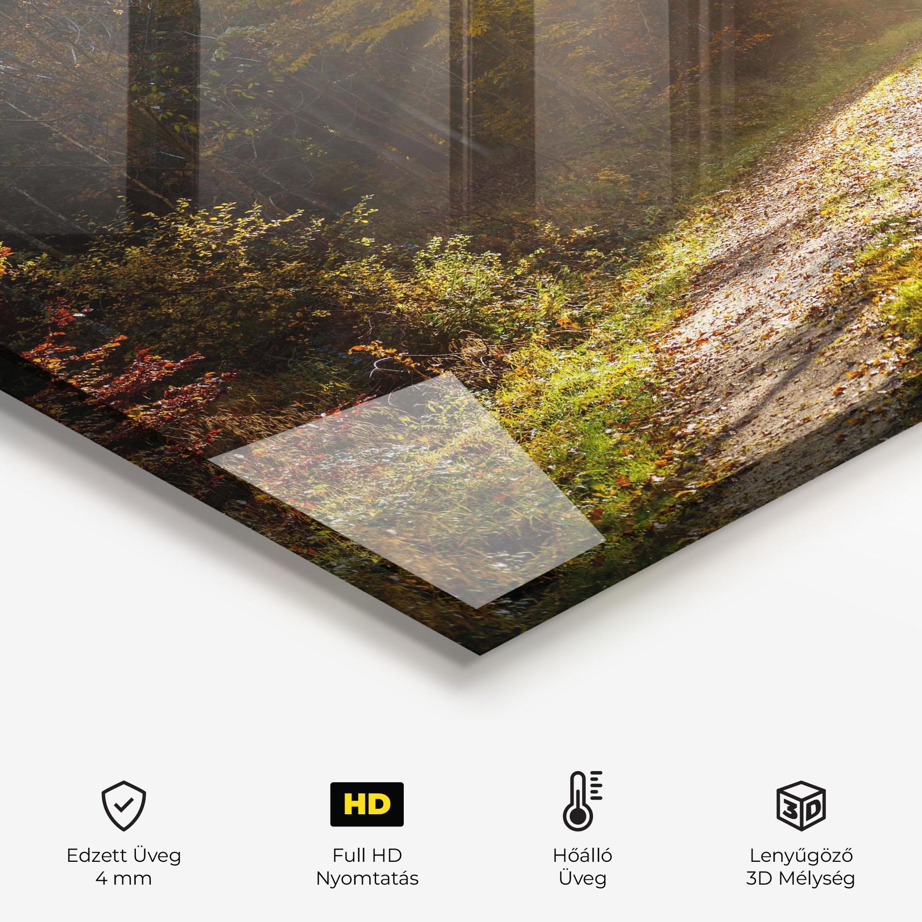 Konyhai üveg hátfal Autumn Trees Sun mockup 2