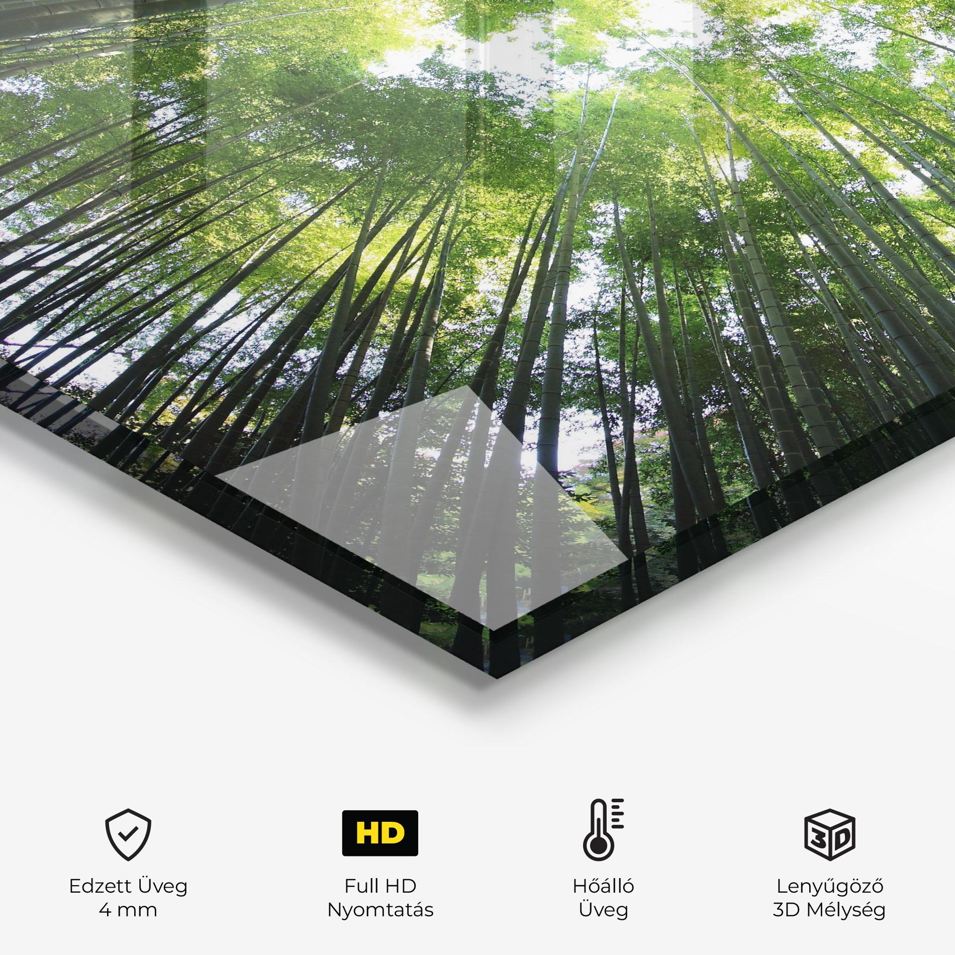 Konyhai üveg hátfal Big Trees Morning mockup 2