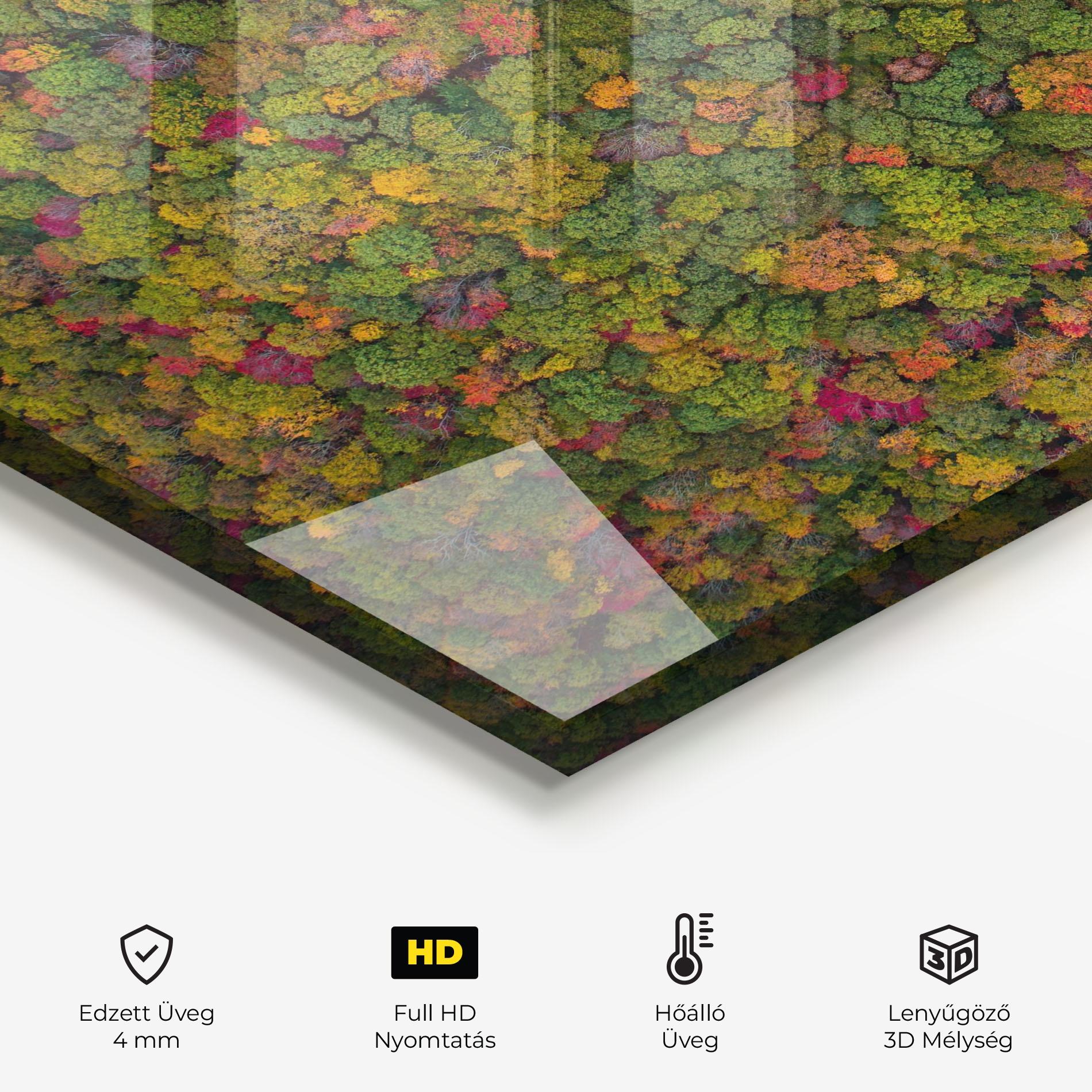 Konyhai üveg hátfal Color Mix Forest mockup 2