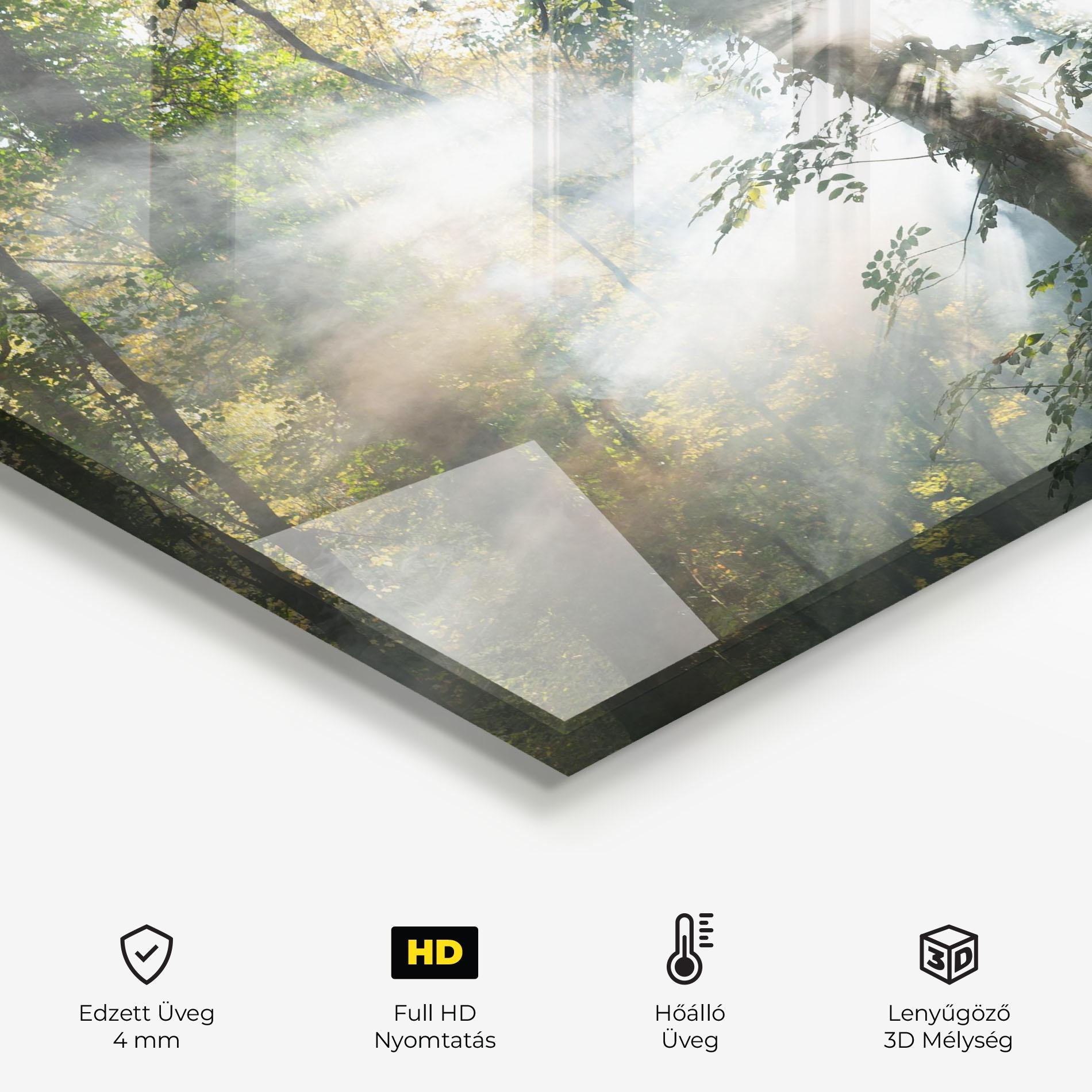 Konyhai üveg hátfal Foggy Light Forest mockup 2