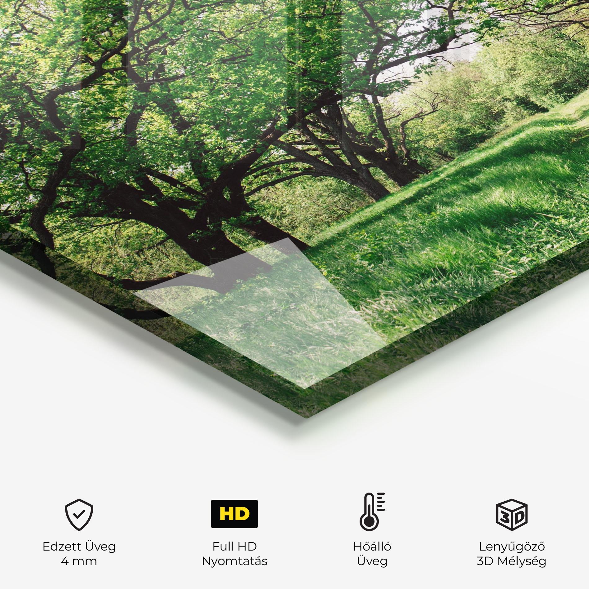 Konyhai üveg hátfal Forest Green Path mockup 2