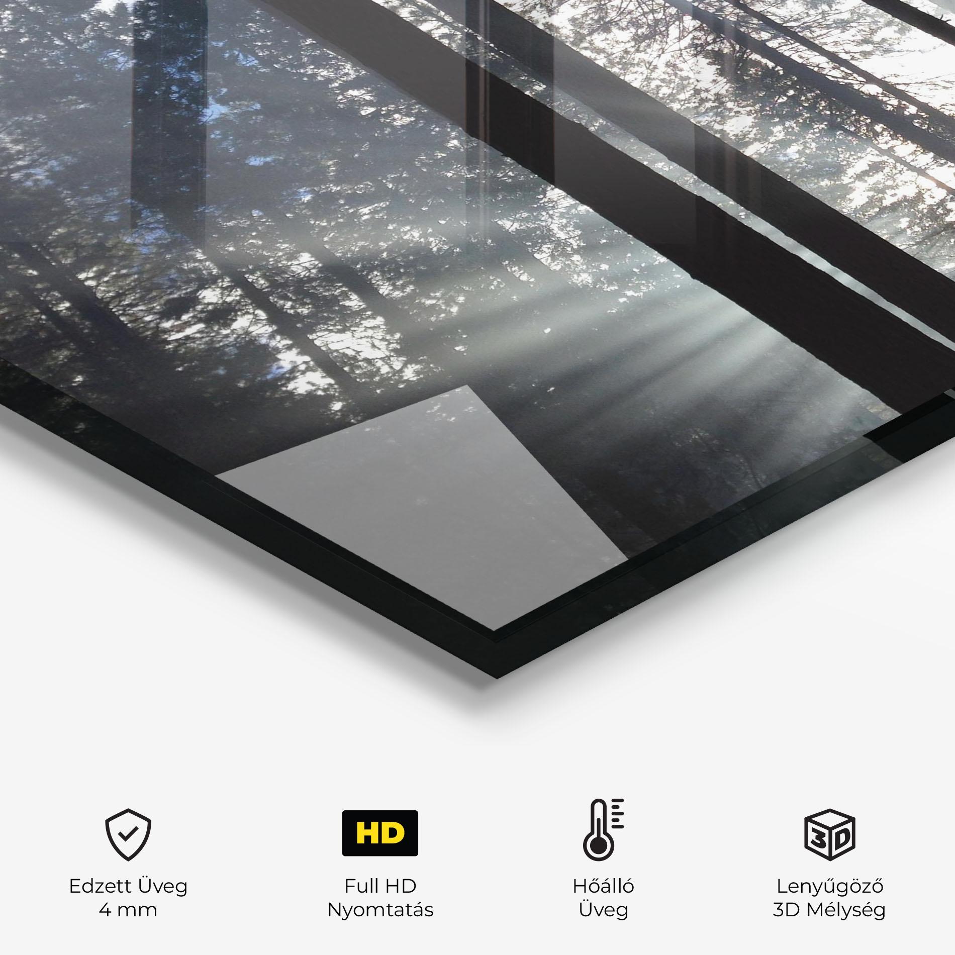 Konyhai üveg hátfal Morning Light Forest mockup 2