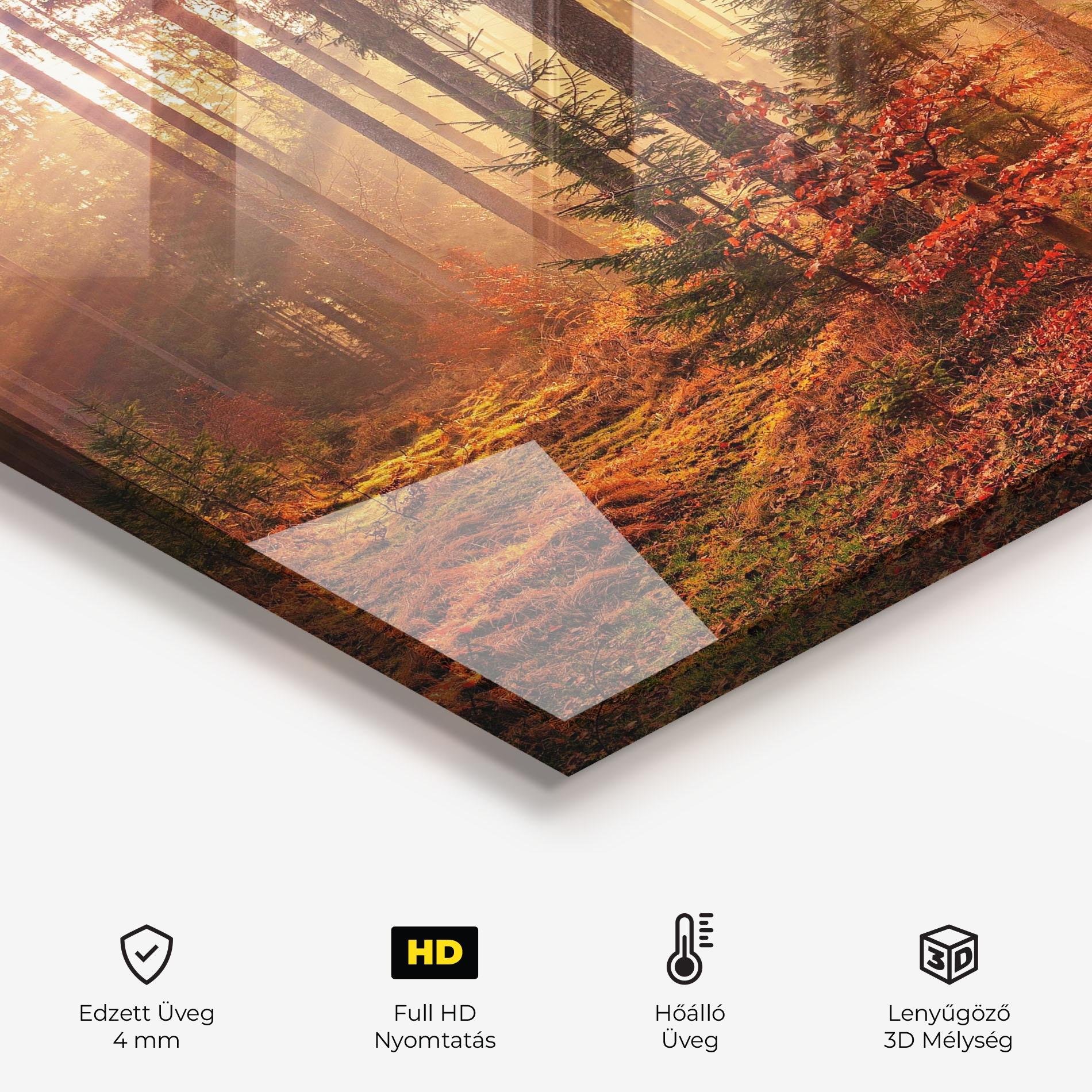 Konyhai üveg hátfal Orange Light Forest mockup 2