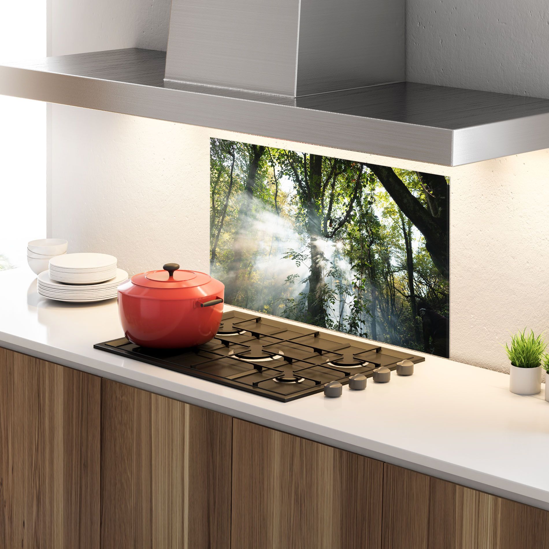 Foggy Light Forest mockup 4