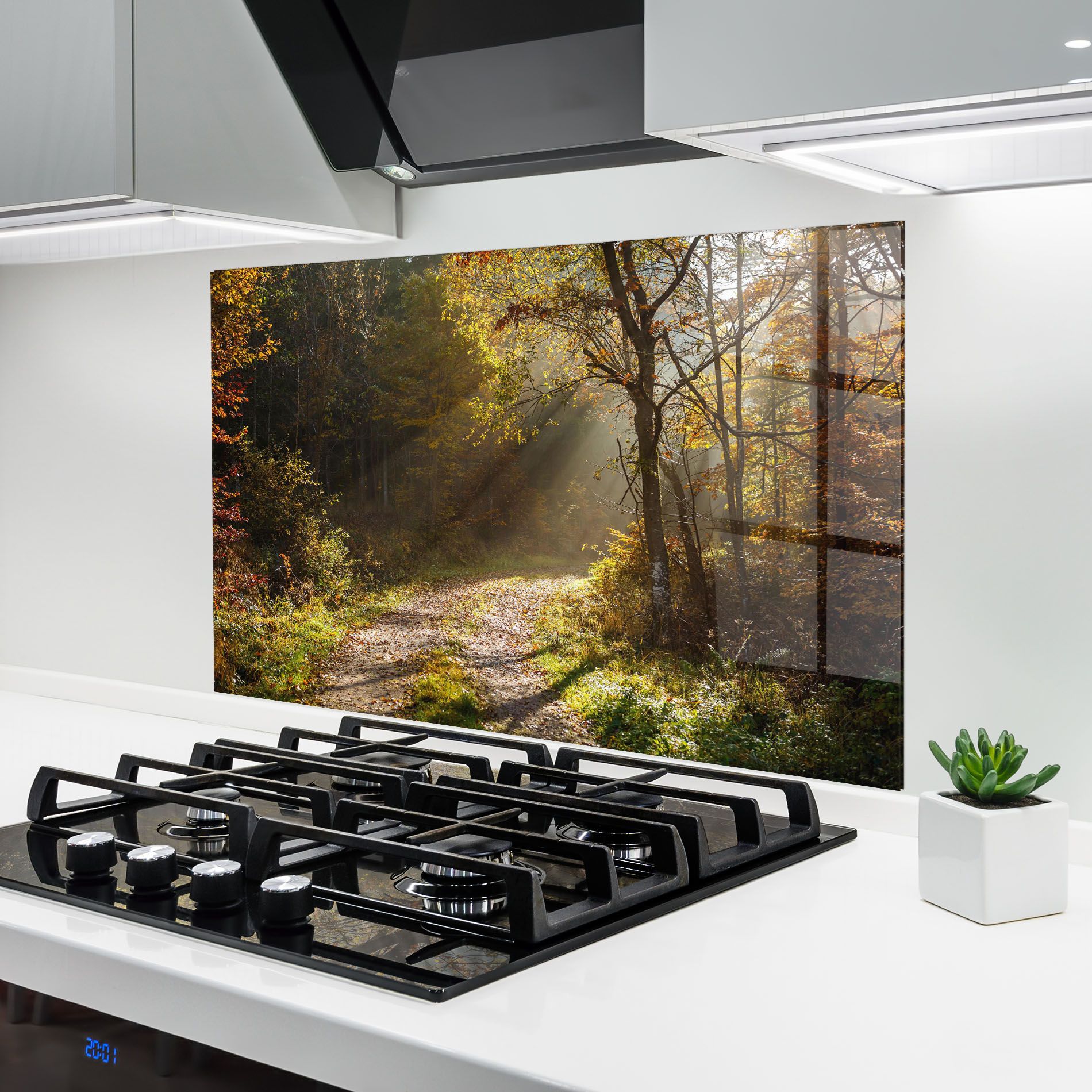 Autumn Trees Sun mockup 6