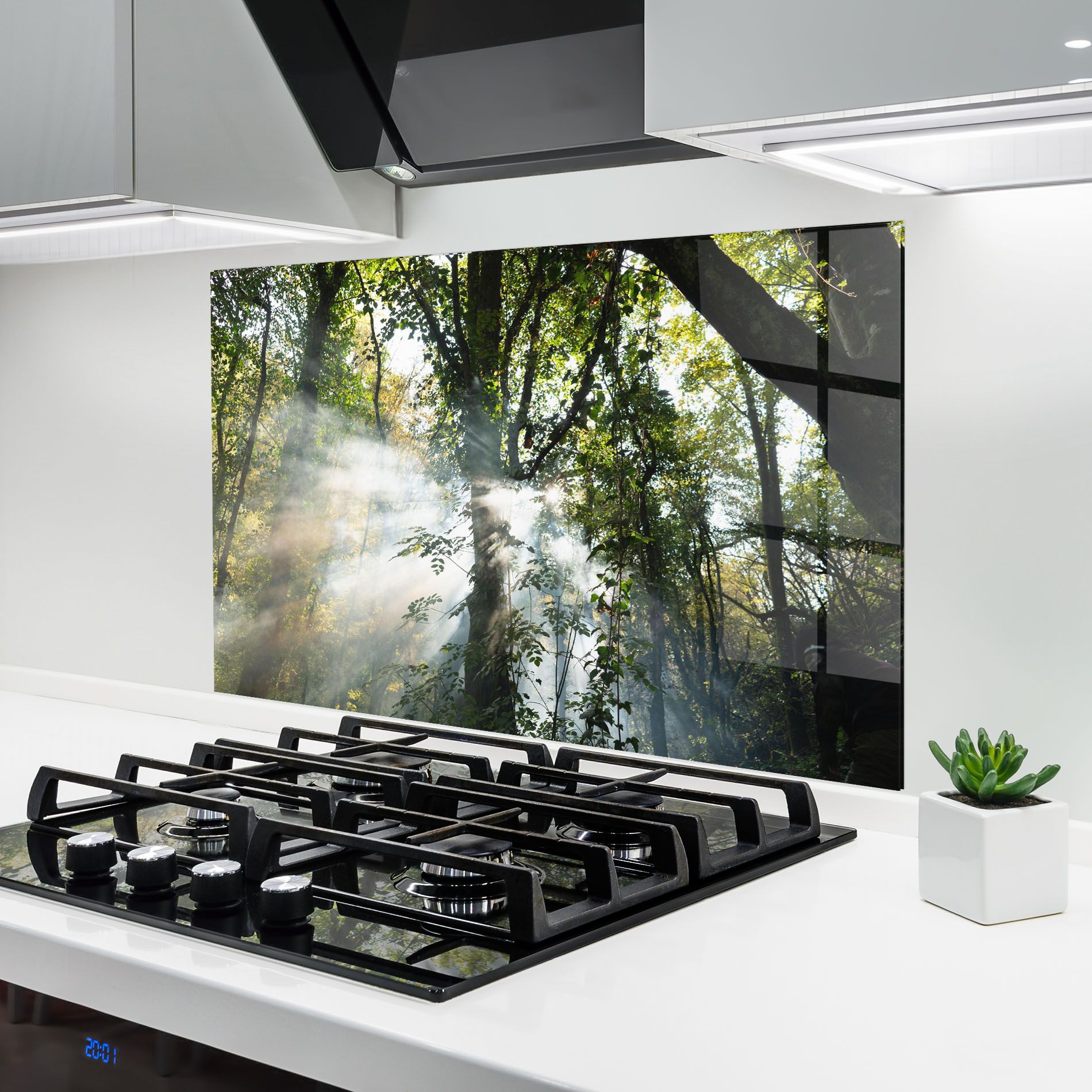 Foggy Light Forest mockup 6