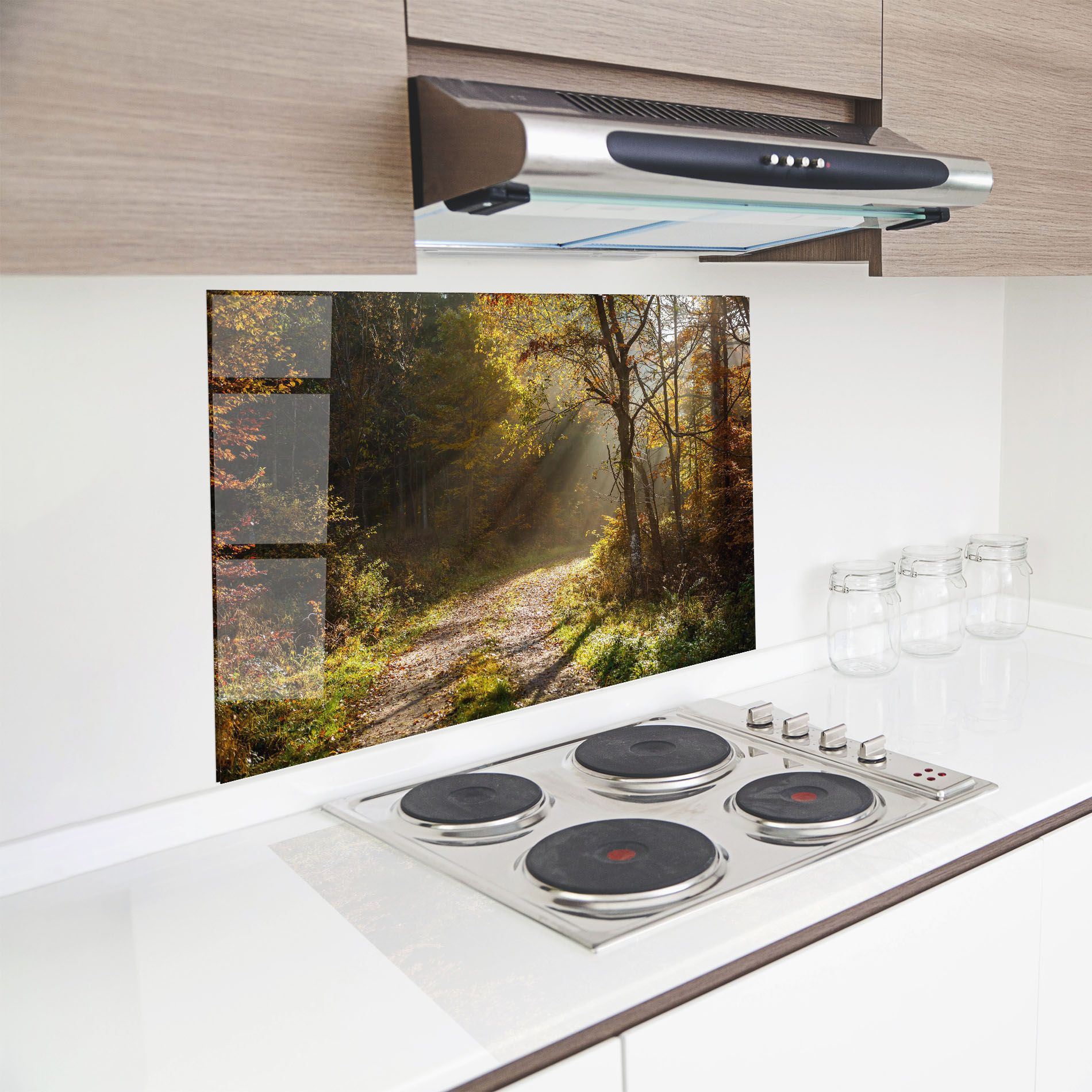 Autumn Trees Sun mockup 8