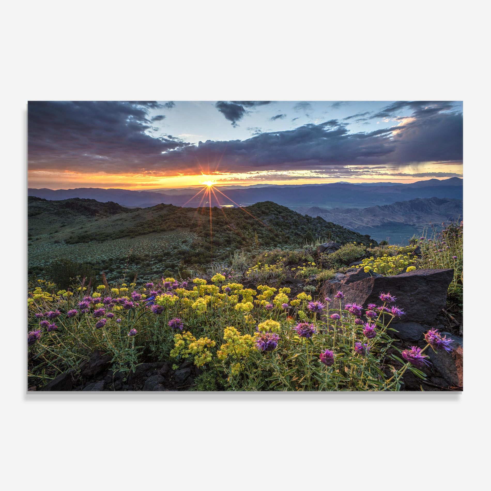 Beautiful Spring View mockup 0