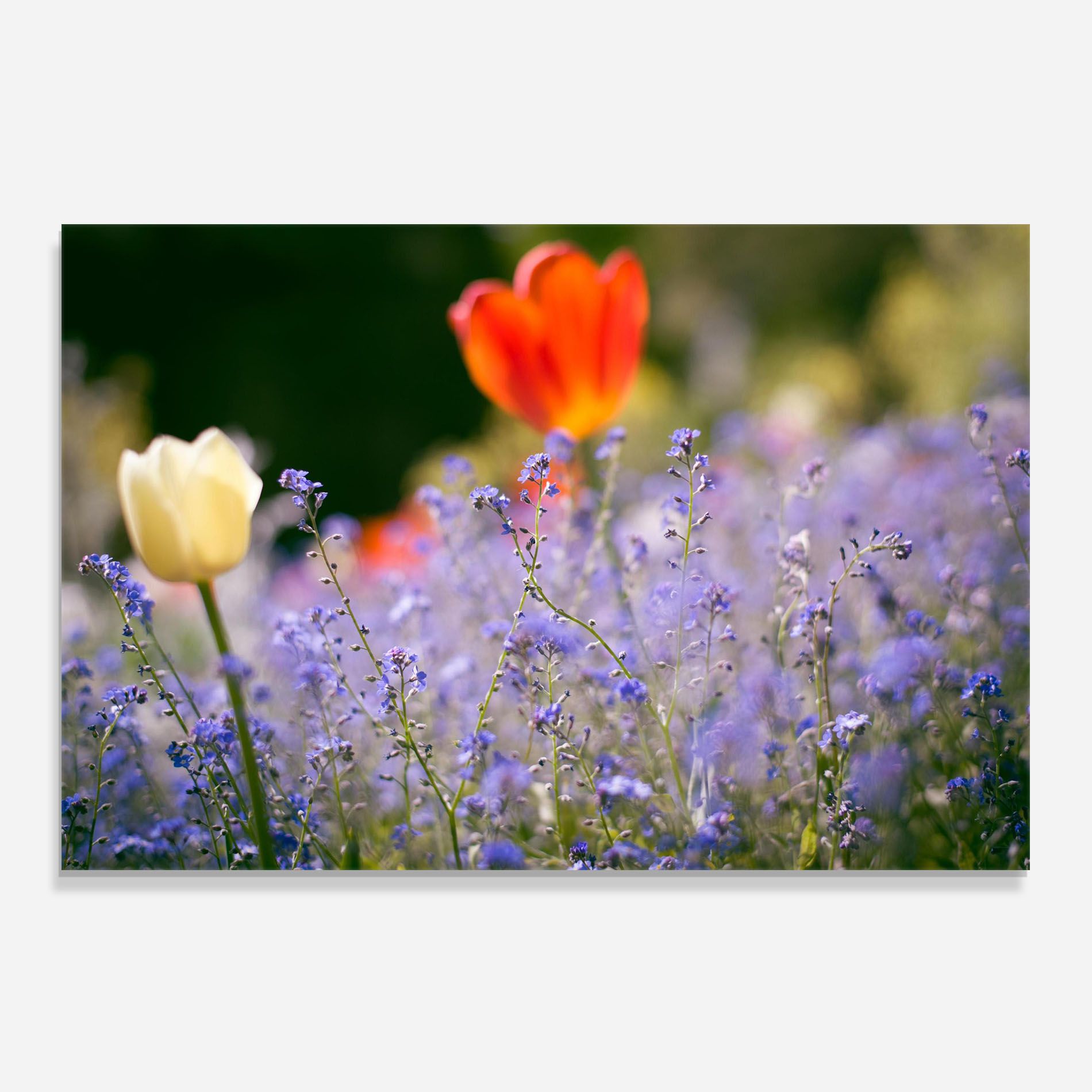 Small Little Spring Flower mockup 0