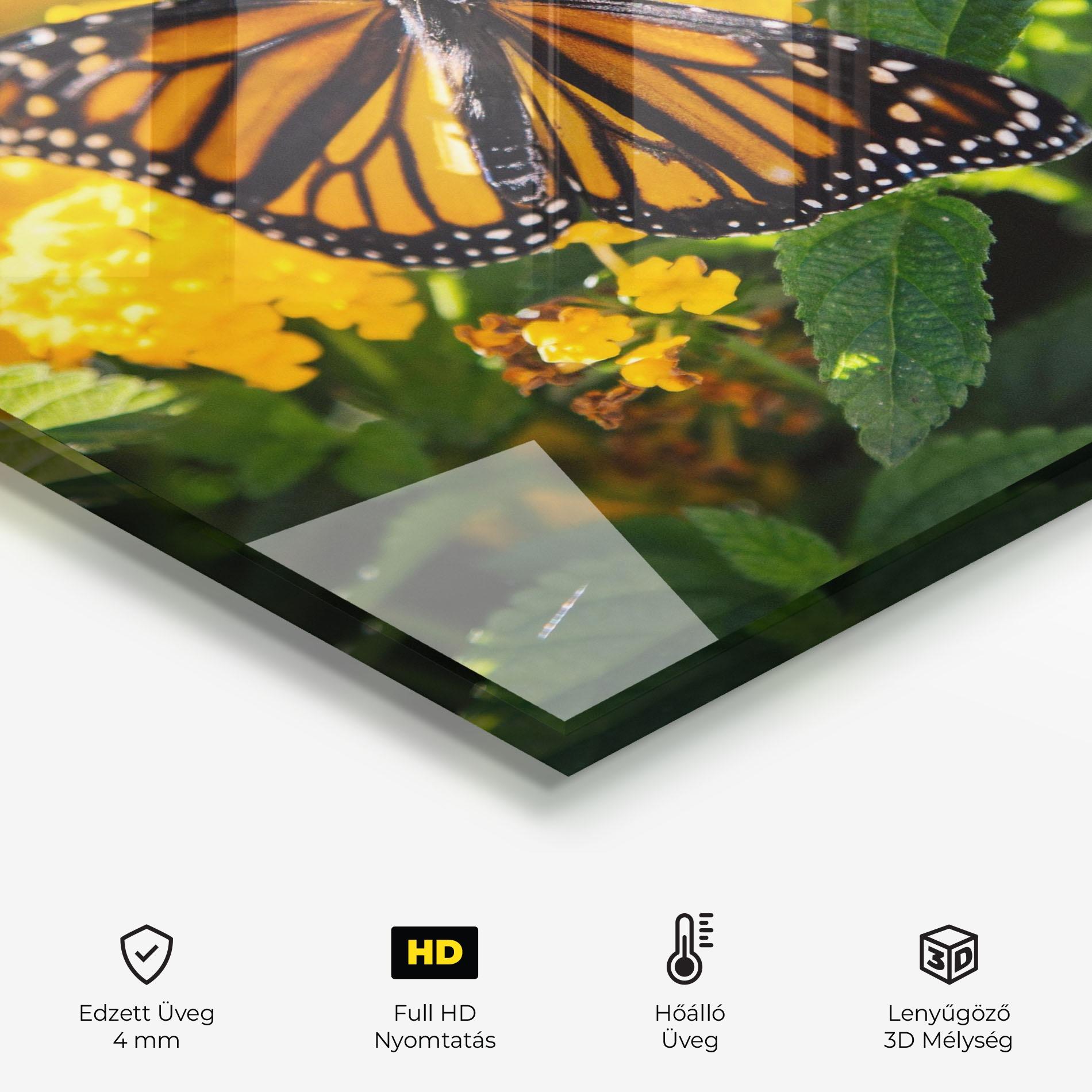 Konyhai üveg hátfal Orange Spring Butterfly mockup 2