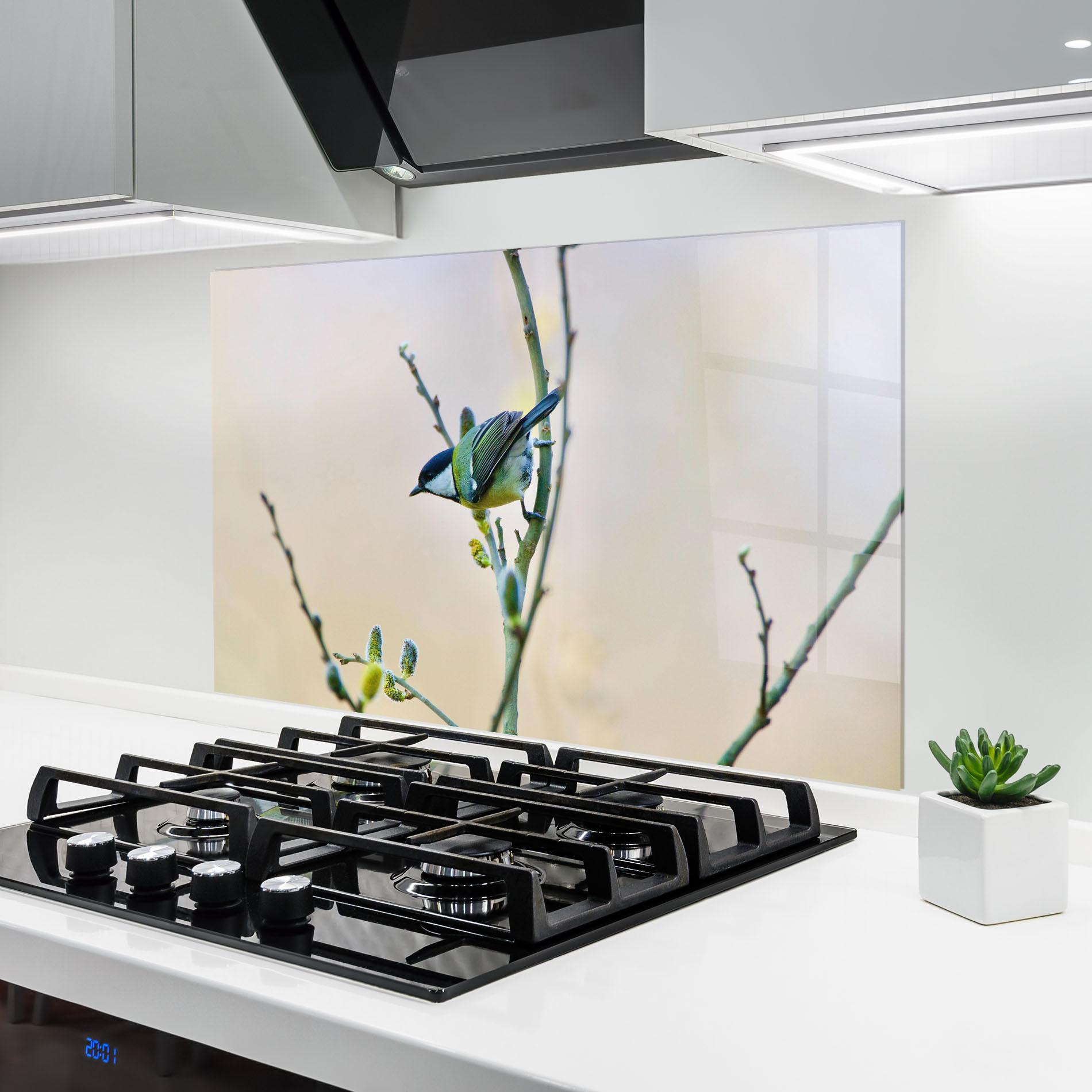 Konyhai üveg hátfal Beautiful Spring Bird mockup 6