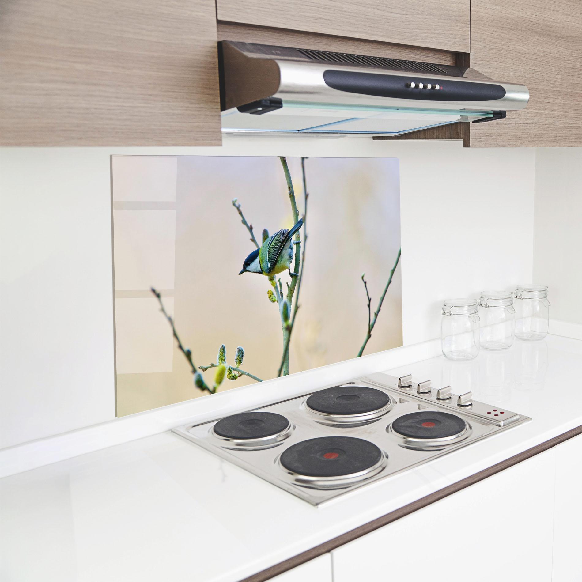 Konyhai üveg hátfal Beautiful Spring Bird mockup 8