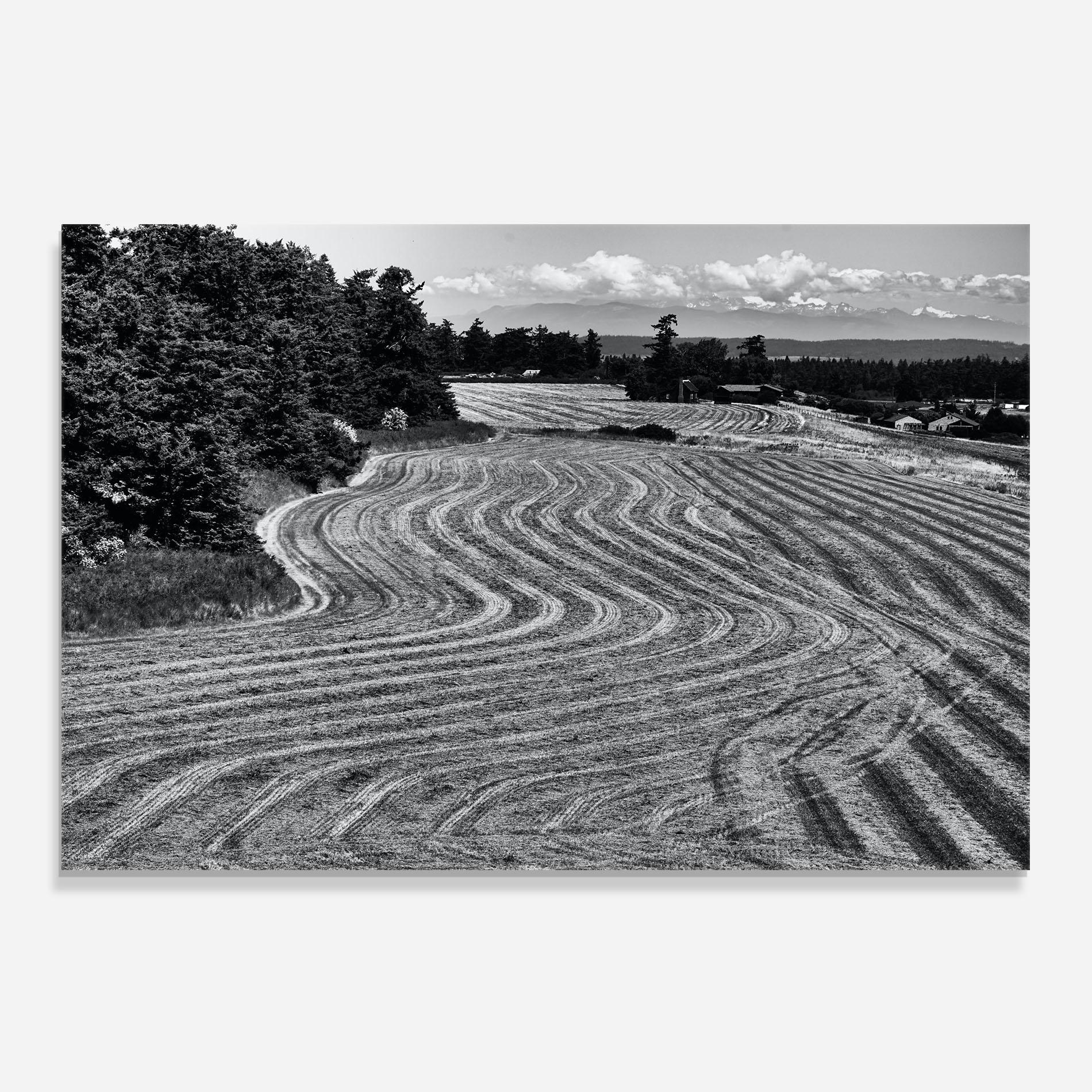 Konyhai üveg hátfal Grey Land mockup 0