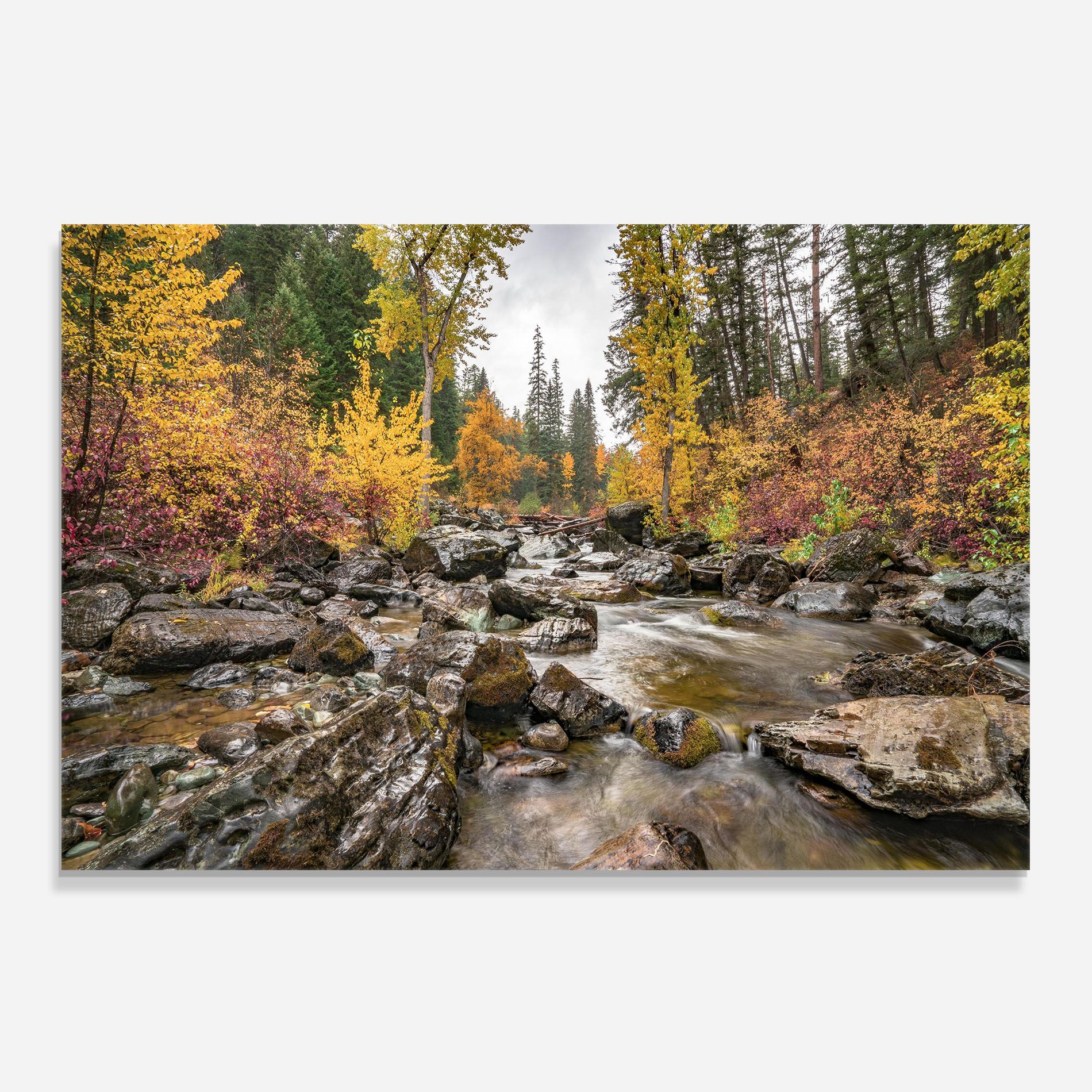 Autumn Stream mockup 0