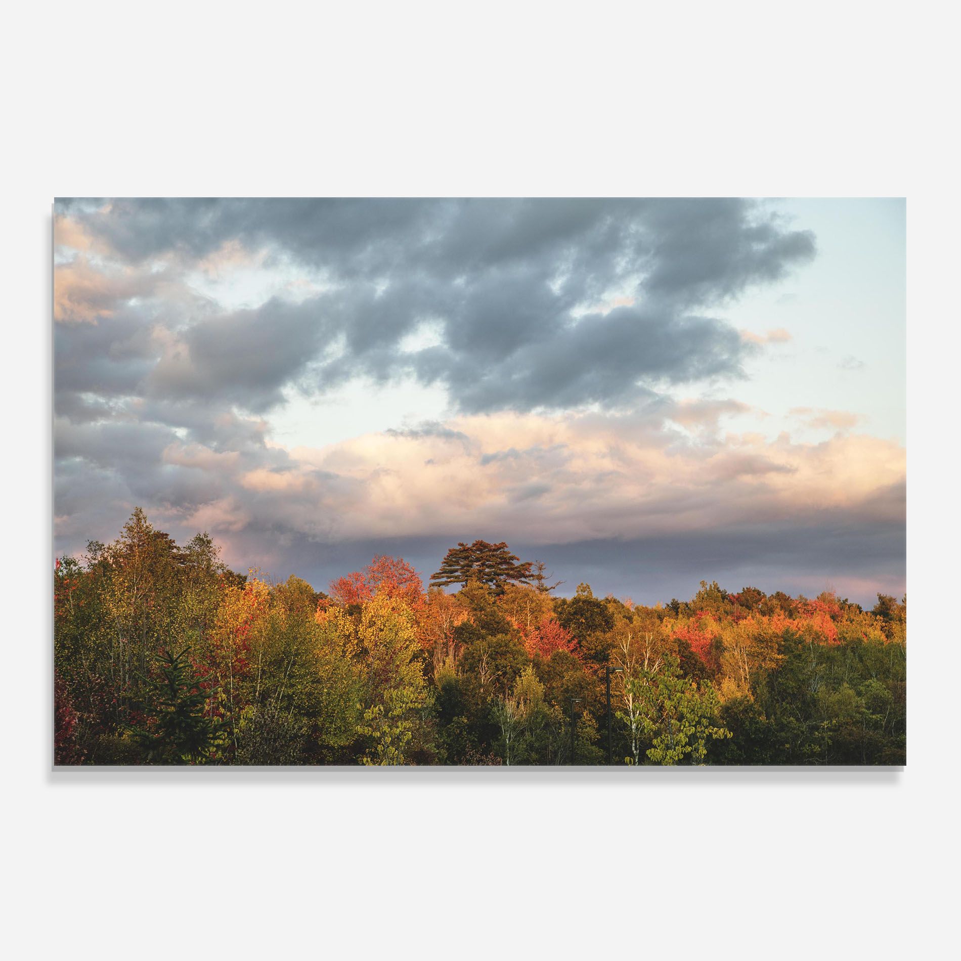 Autumn View mockup 0
