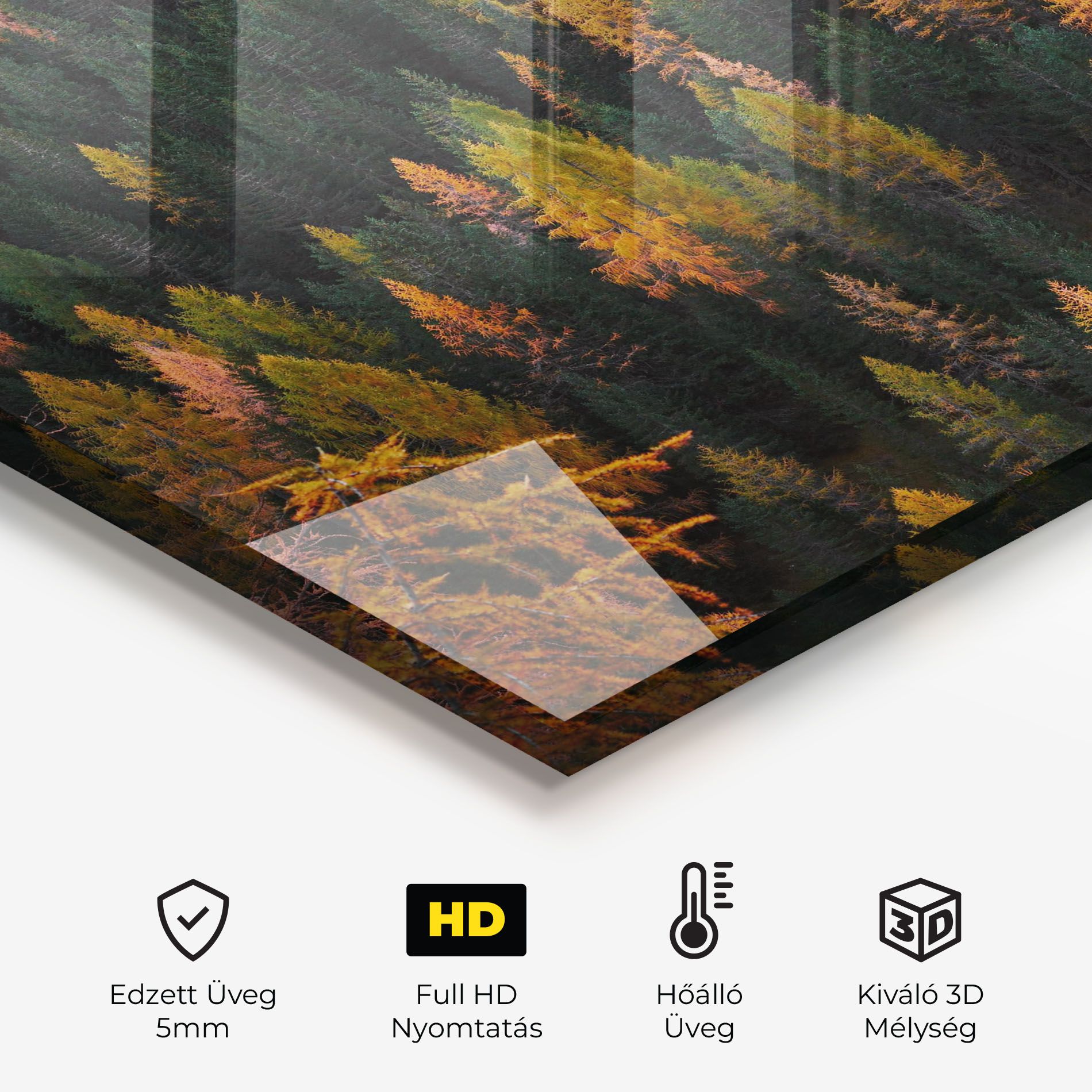 Orange Trees mockup 2