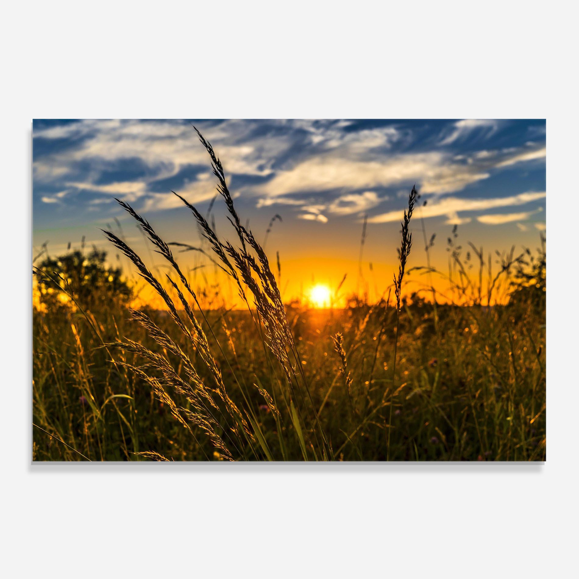 Wheat Sunset mockup 0