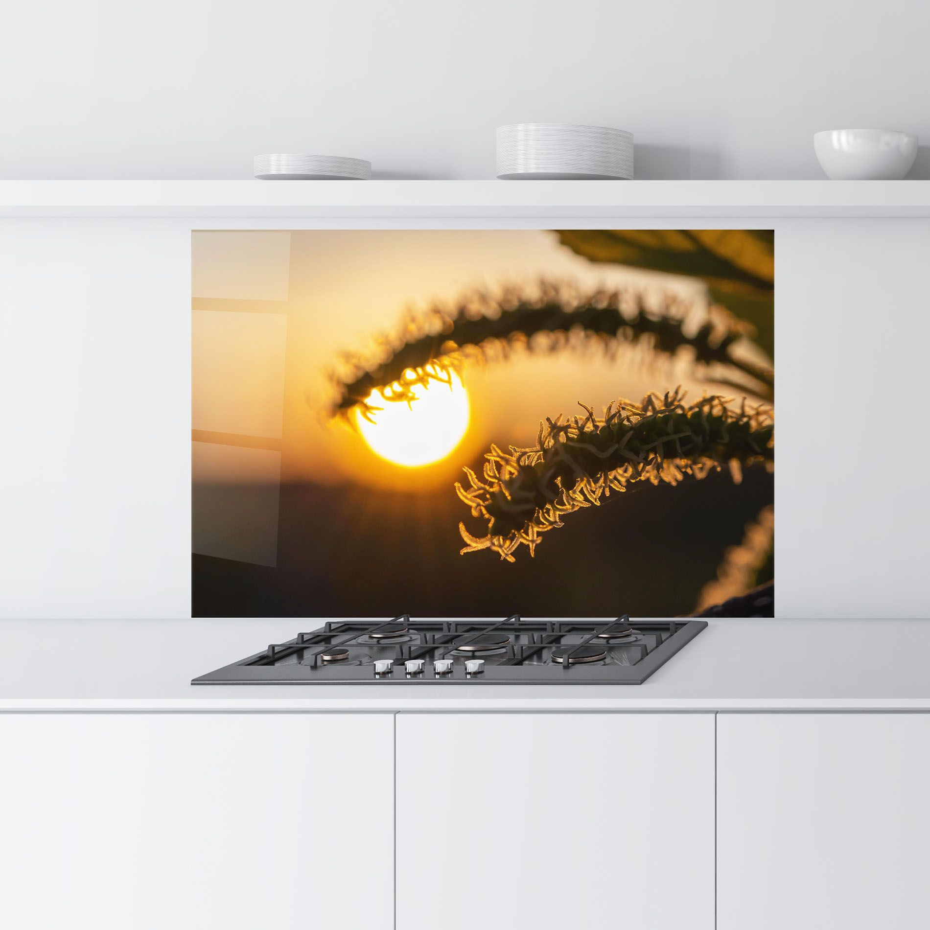 Plant Shilouette mockup 9