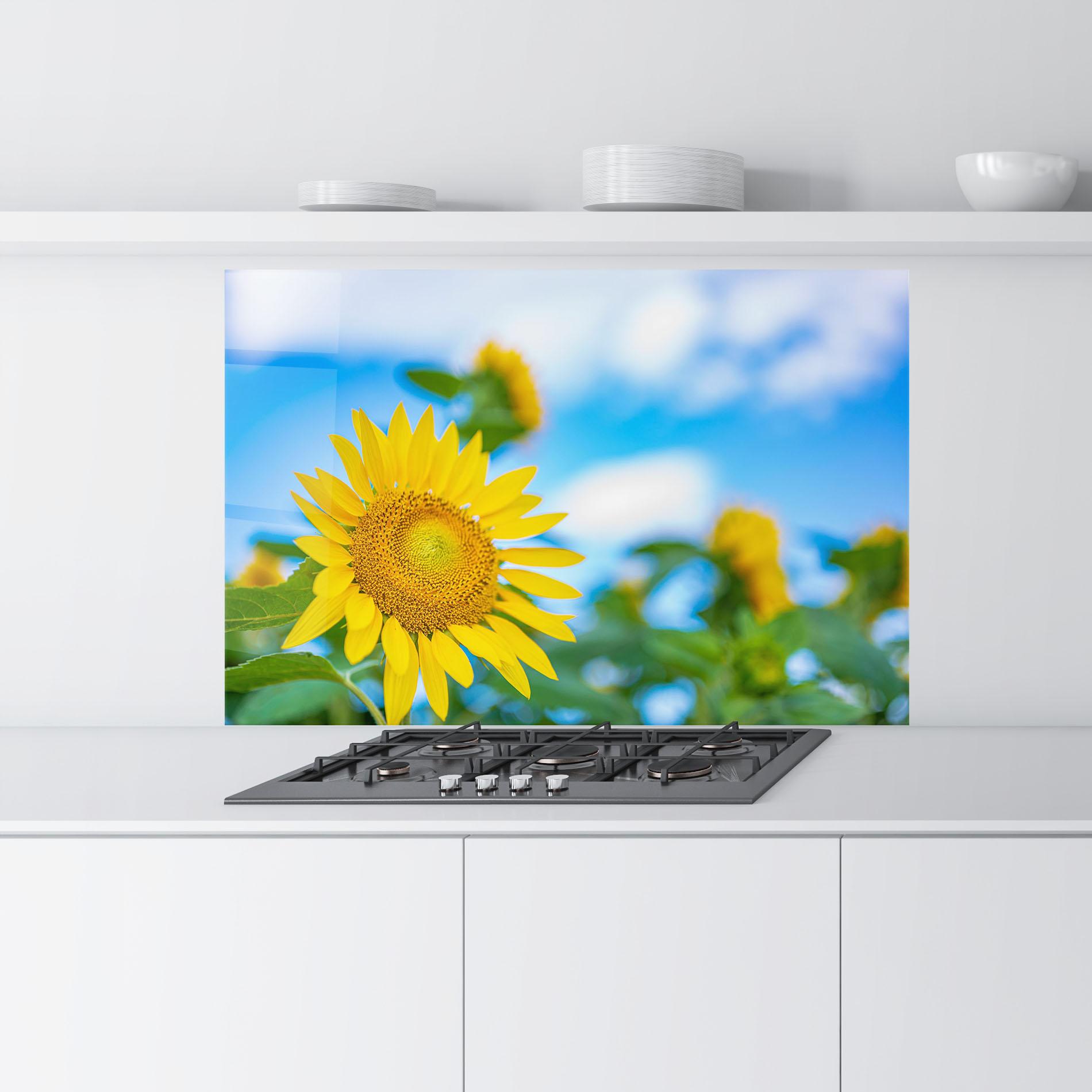 Konyhai üveg hátfal Sunflower Sky mockup 9