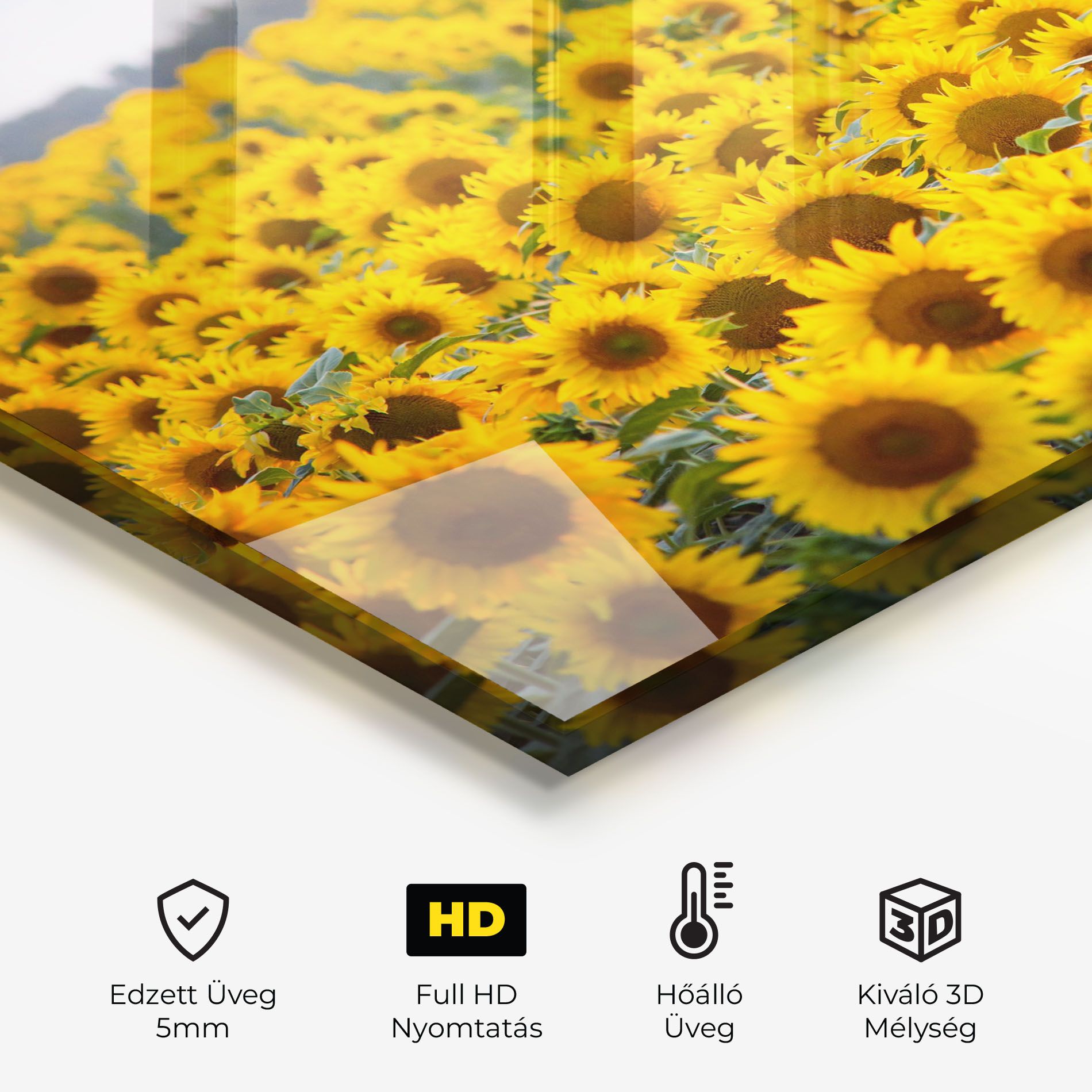 Blooming Sunflowers mockup 2