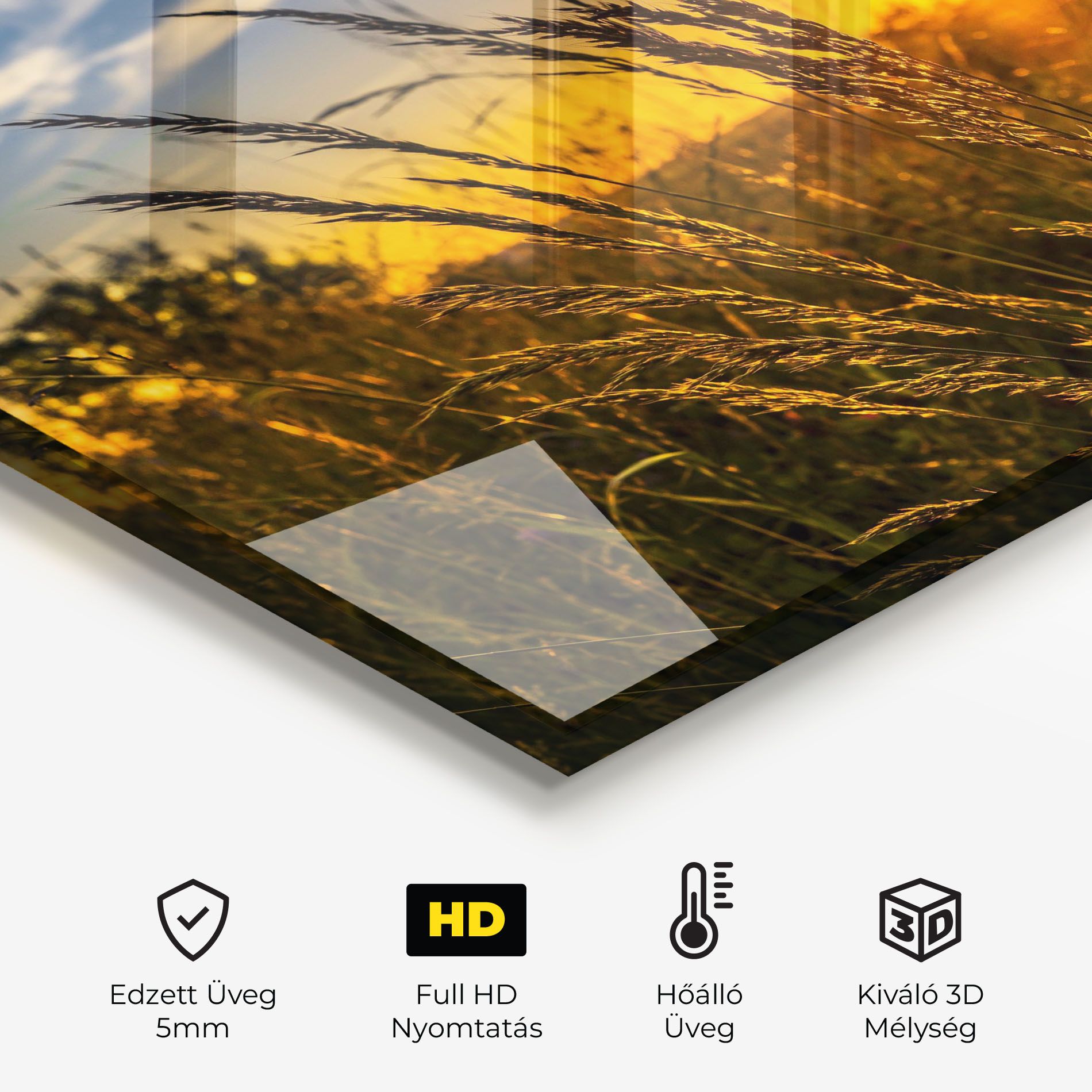Wheat Sunset mockup 2