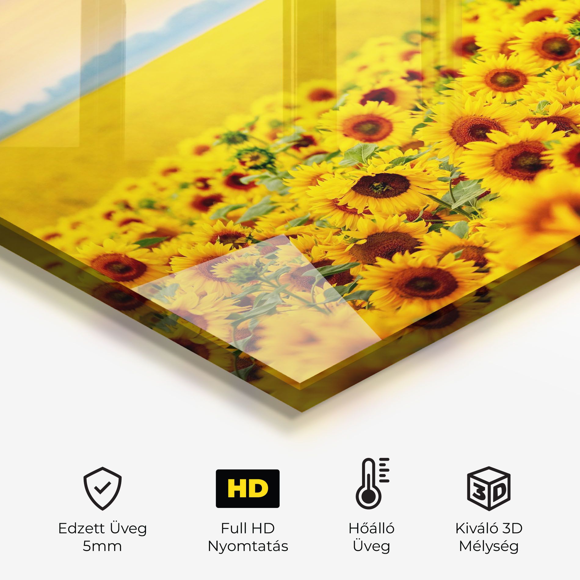 Yellow Sunflowers mockup 2