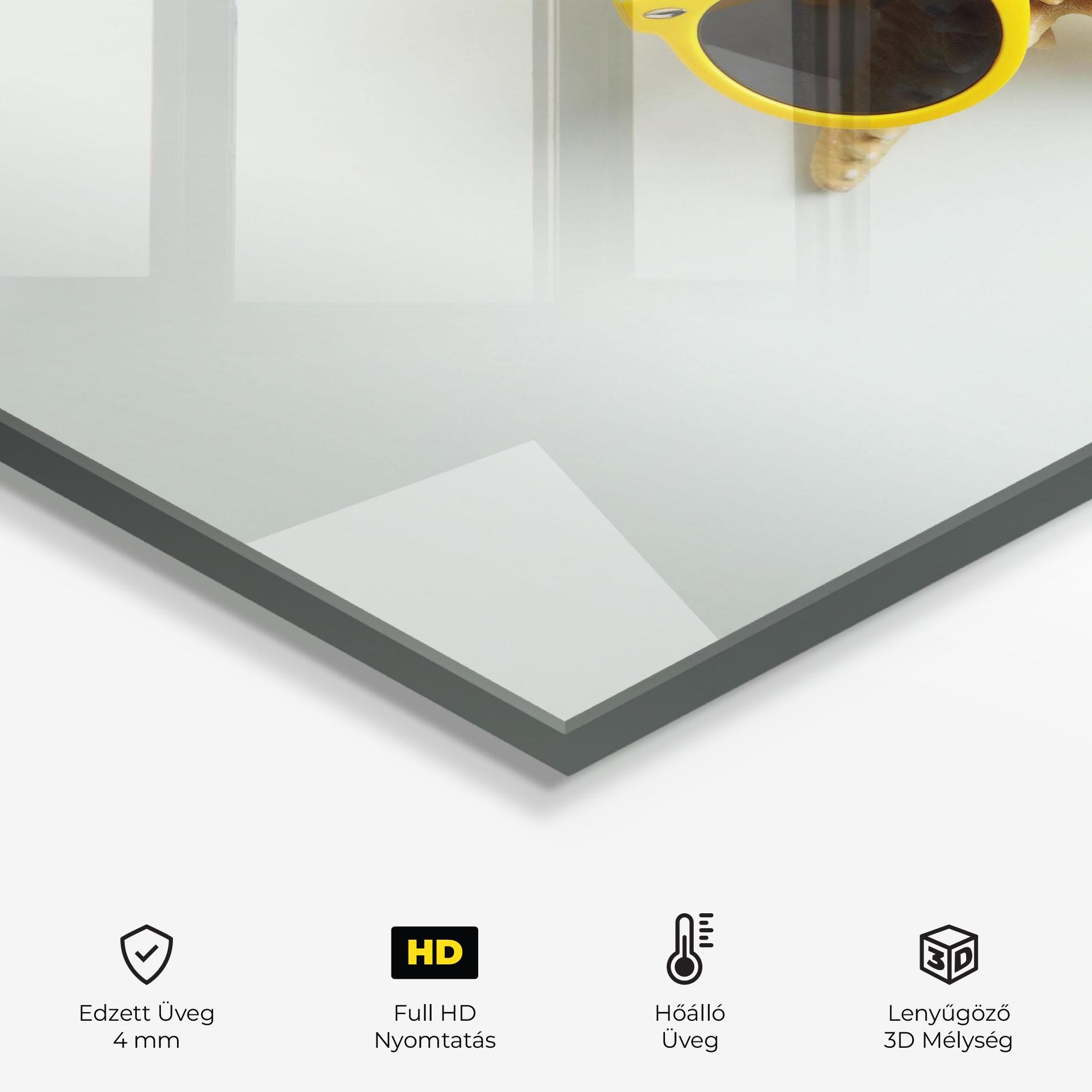 Konyhai üveg hátfal Seastar Sunglasses mockup 2