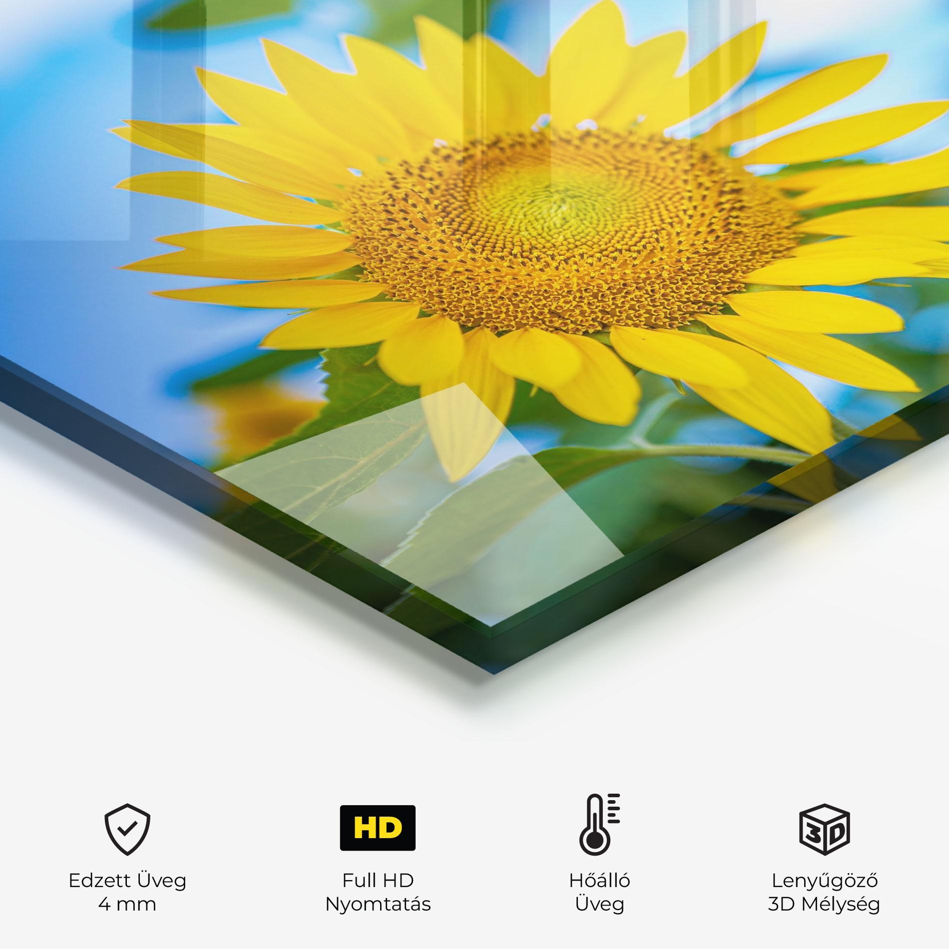 Konyhai üveg hátfal Sunflower Sky mockup 2