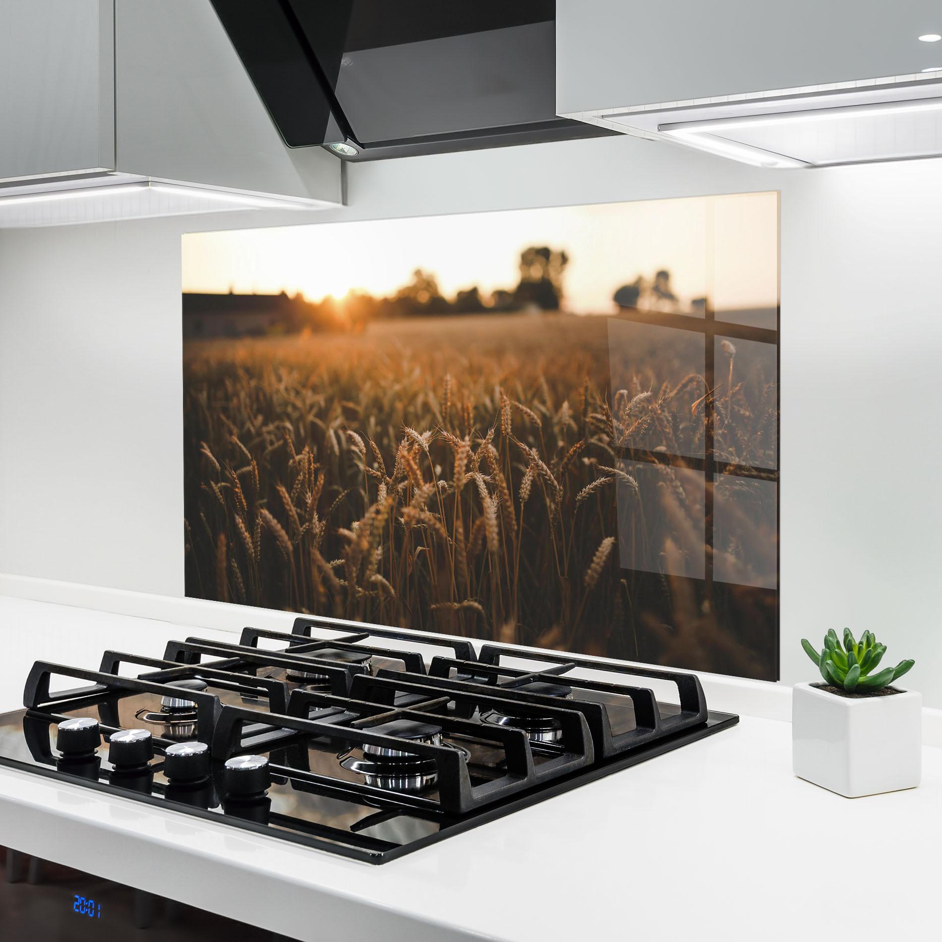 Konyhai üveg hátfal Summer Field mockup 6