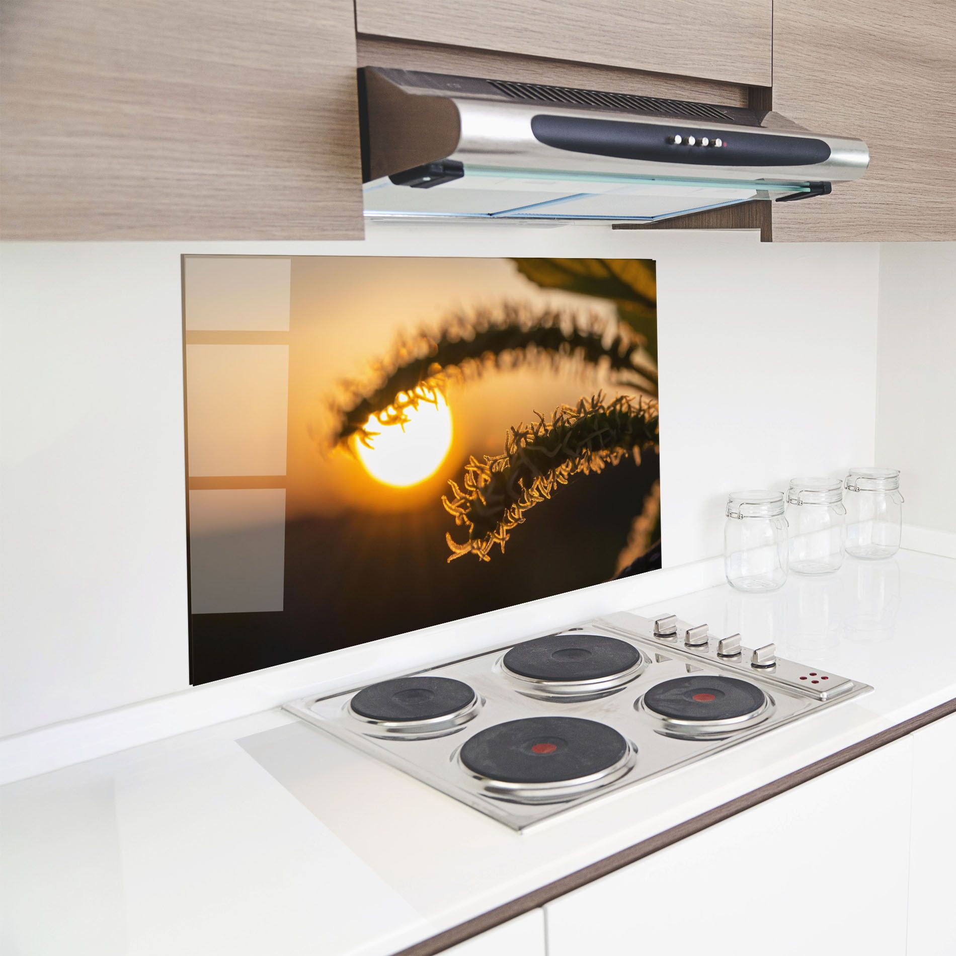 Plant Shilouette mockup 8