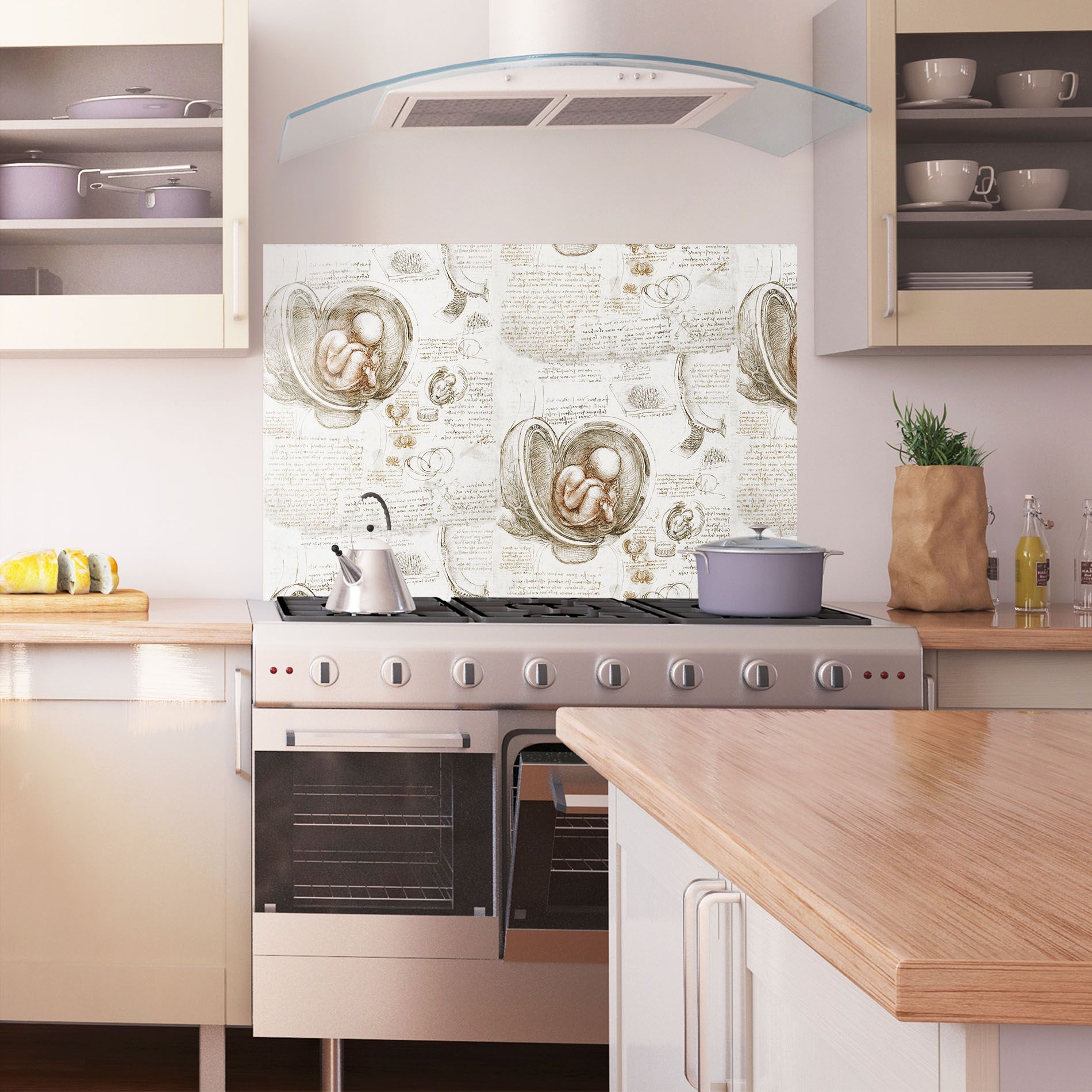 Leonardo Studies Of The Foetus mockup 1