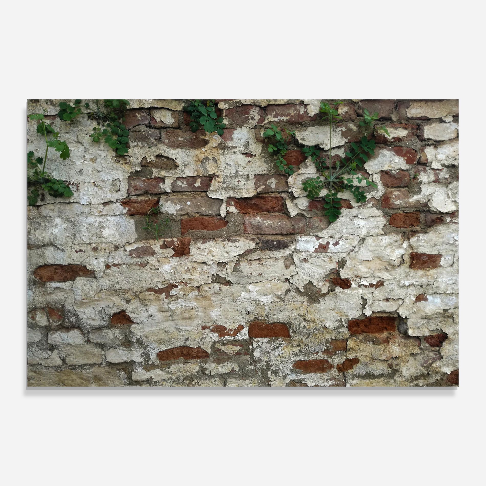 Shabby Bricks mockup 0
