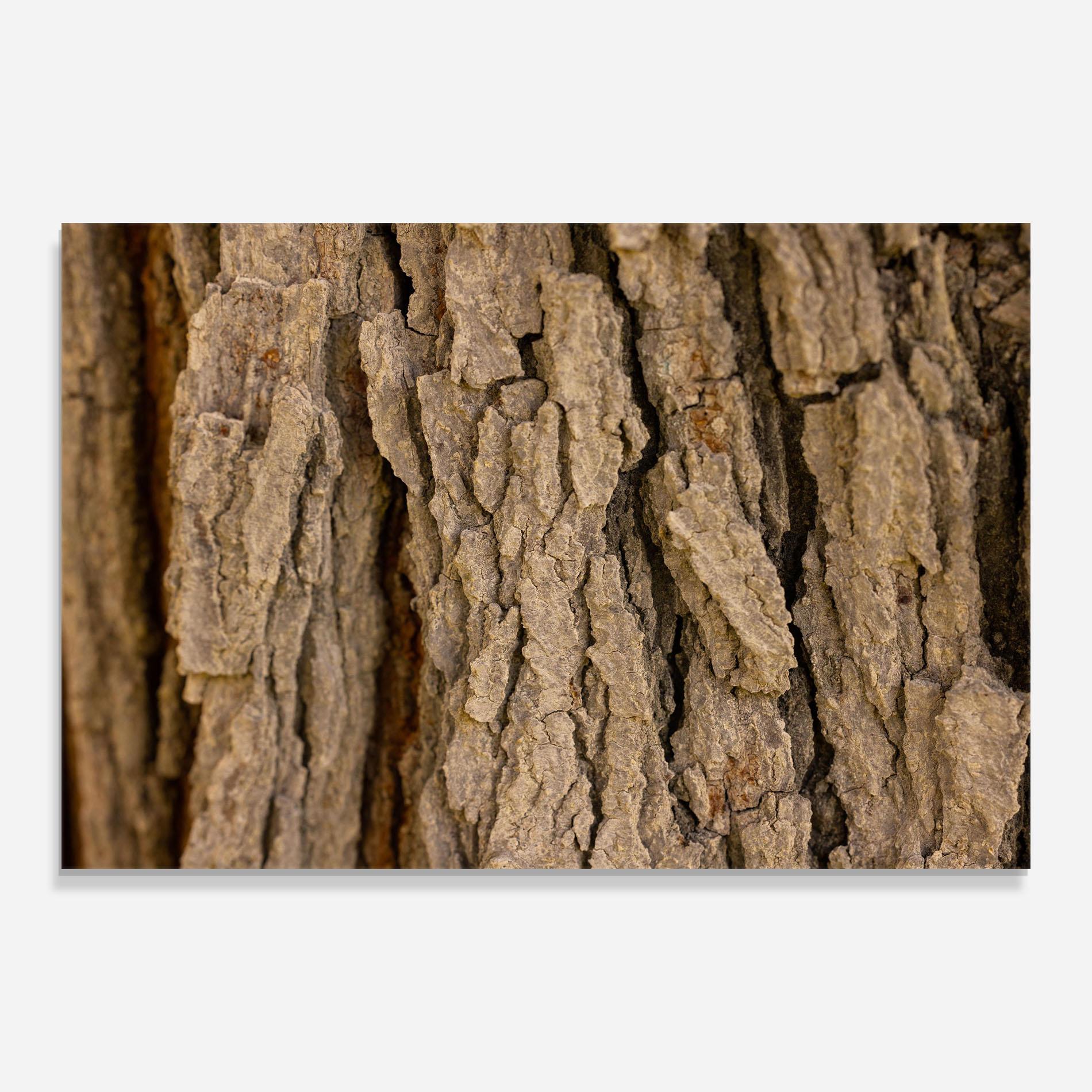 Konyhai üveg hátfal Old Wood mockup 0