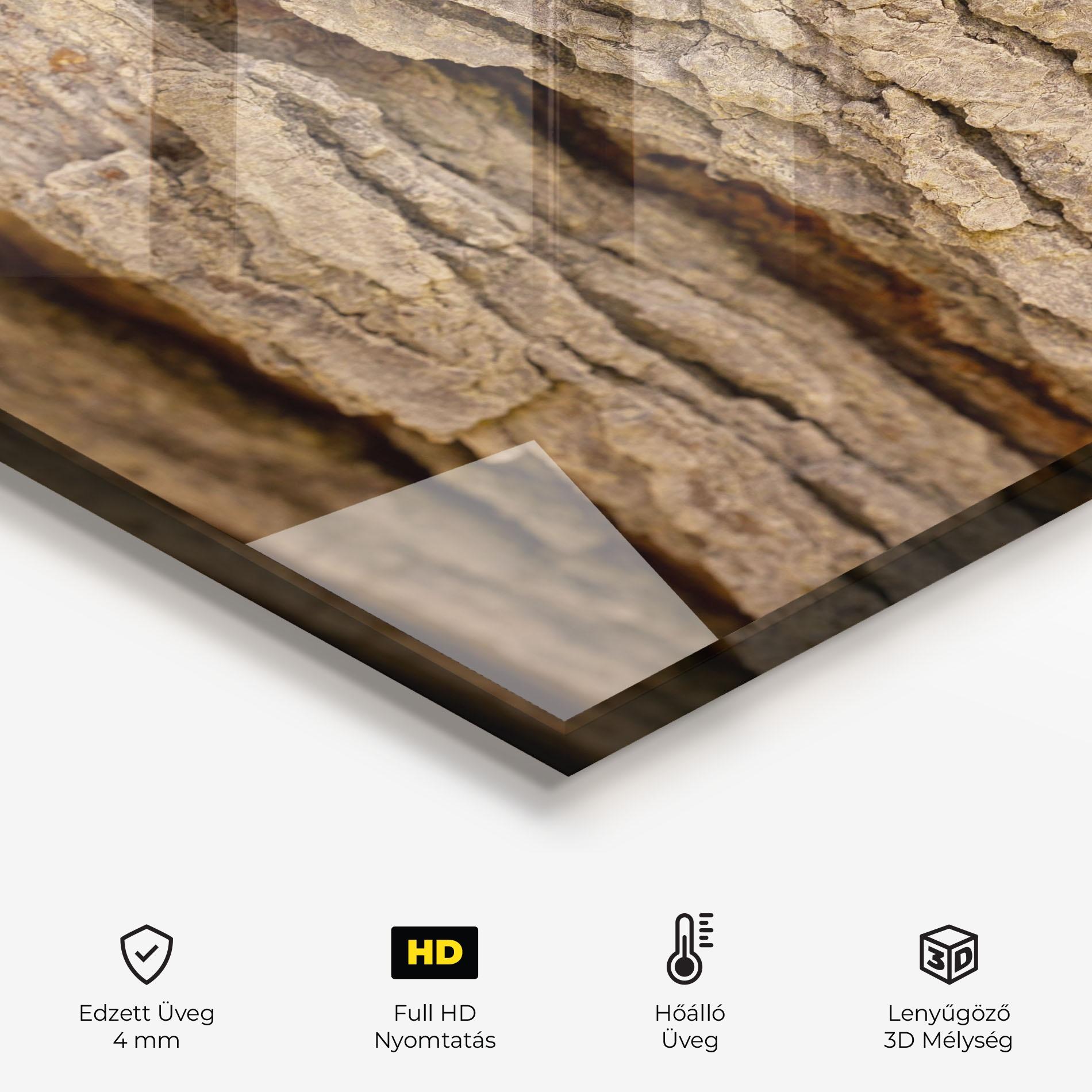 Konyhai üveg hátfal Old Wood mockup 2