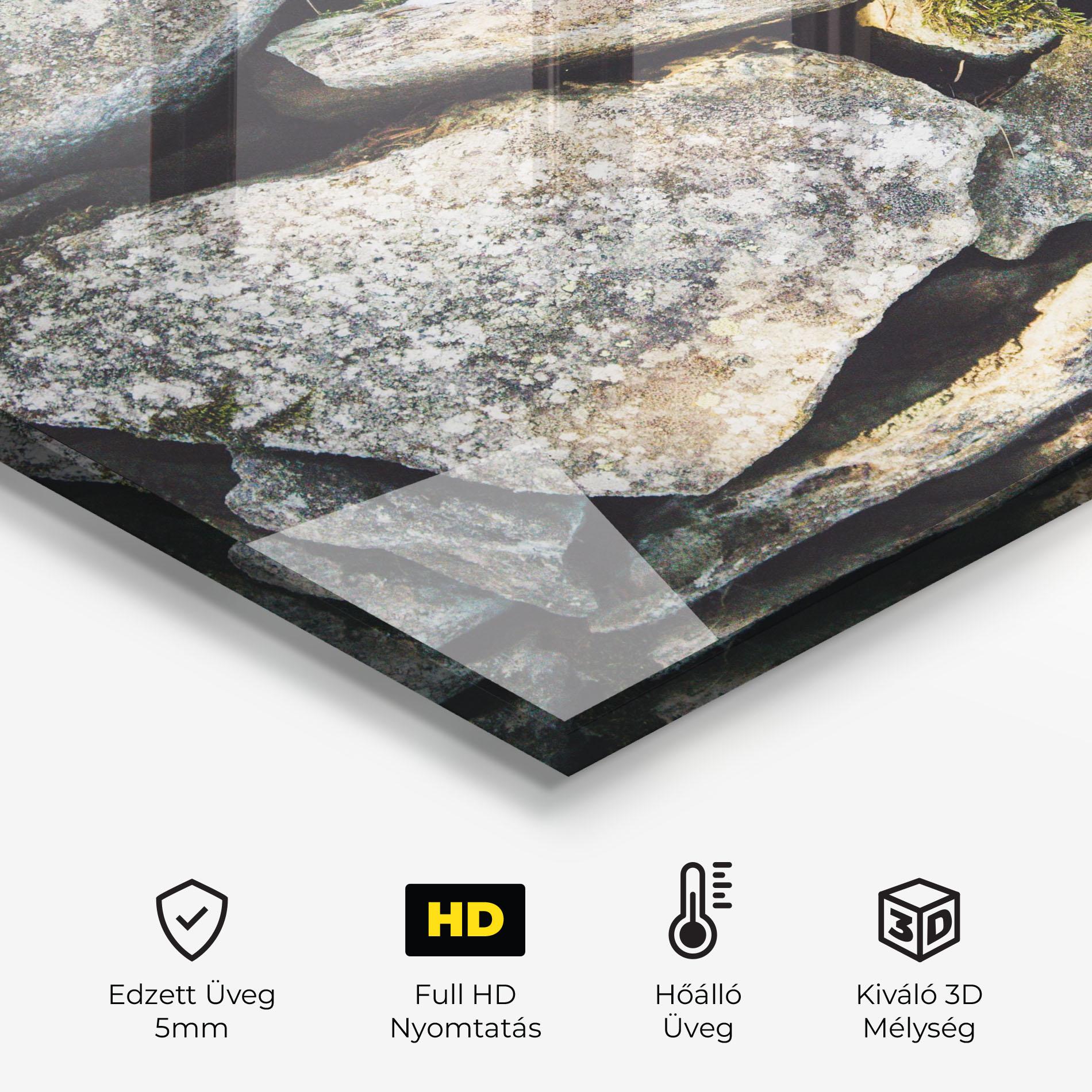 Konyhai üveg hátfal Stone In Nature mockup 2